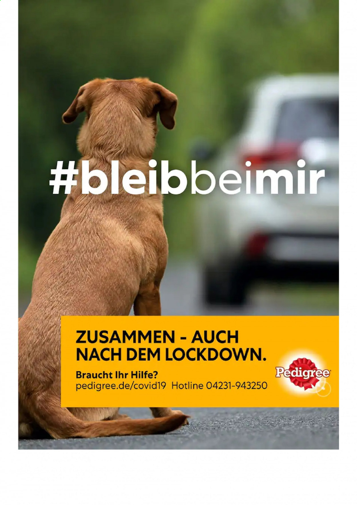 Combi Prospekte  - 1.09.2021 - 30.09.2021. Seite 99