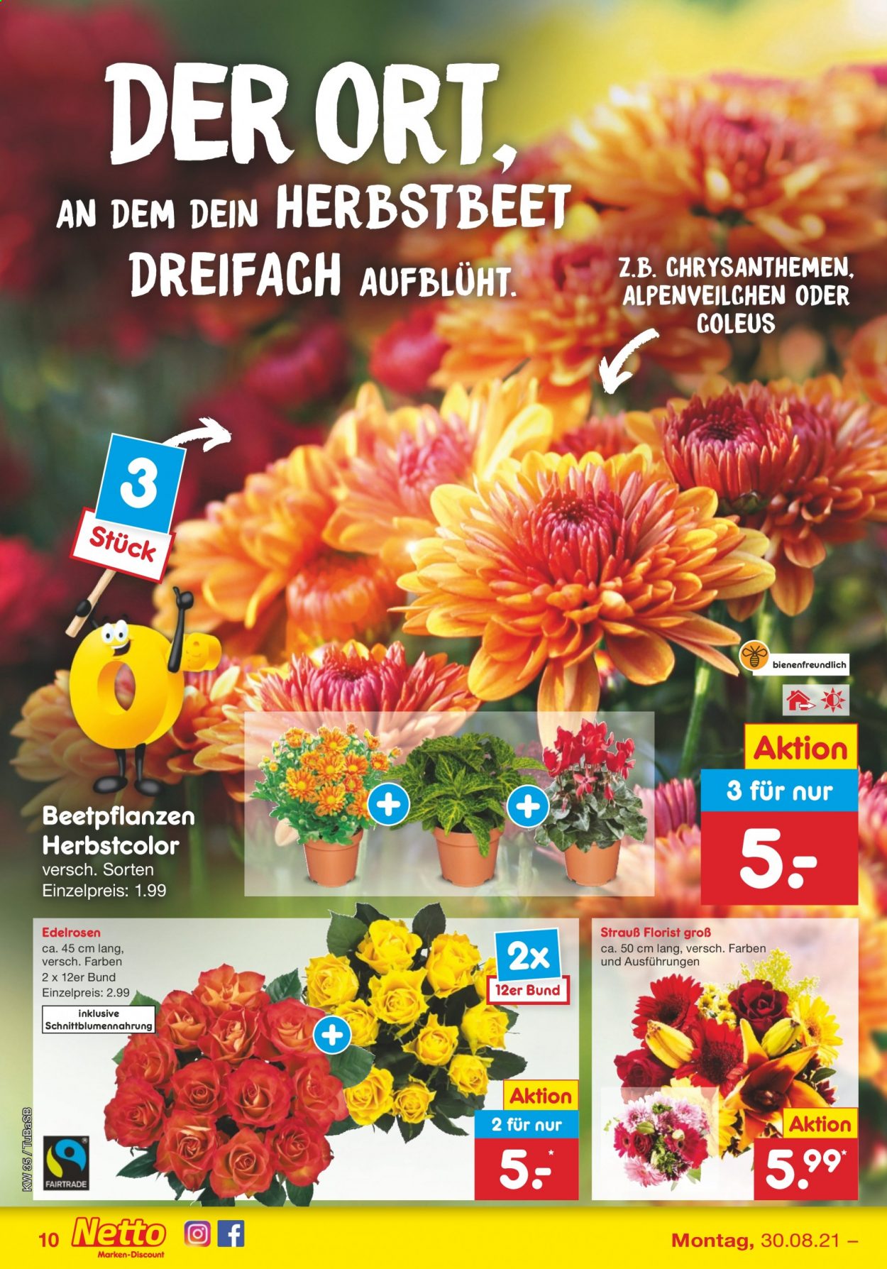Netto Marken-Discount Prospekte  - 30.08.2021 - 4.09.2021. Seite 10