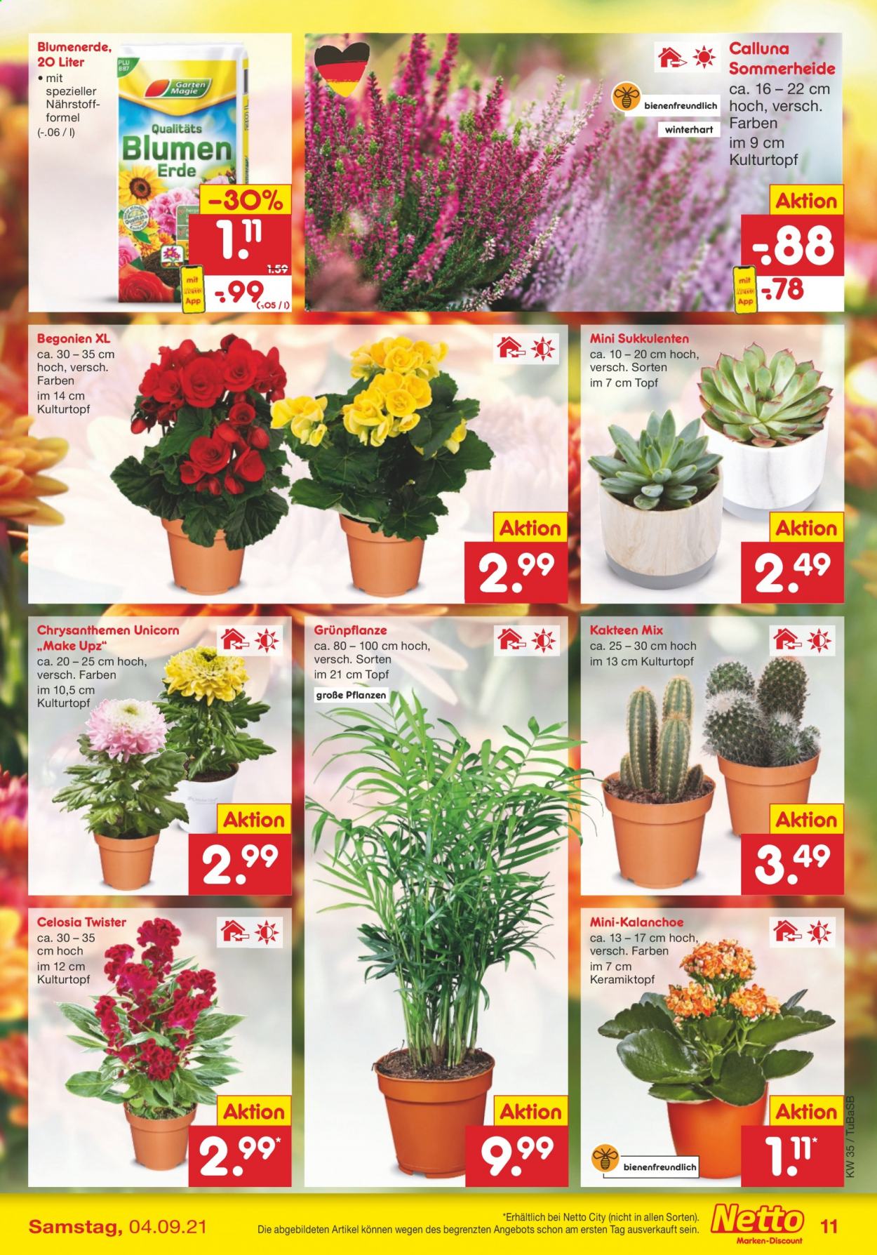 Netto Marken-Discount Prospekte  - 30.08.2021 - 4.09.2021. Seite 11