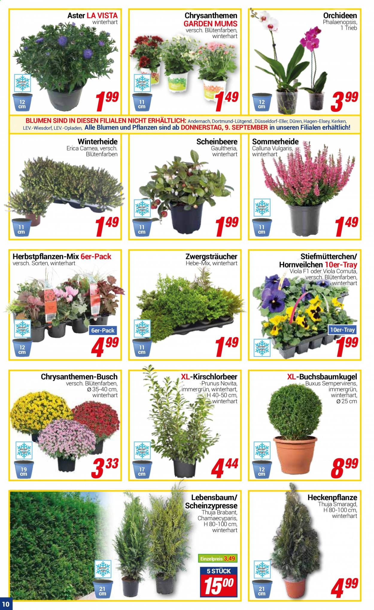 CENTERSHOP Prospekte  - 6.09.2021 - 11.09.2021. Seite 10