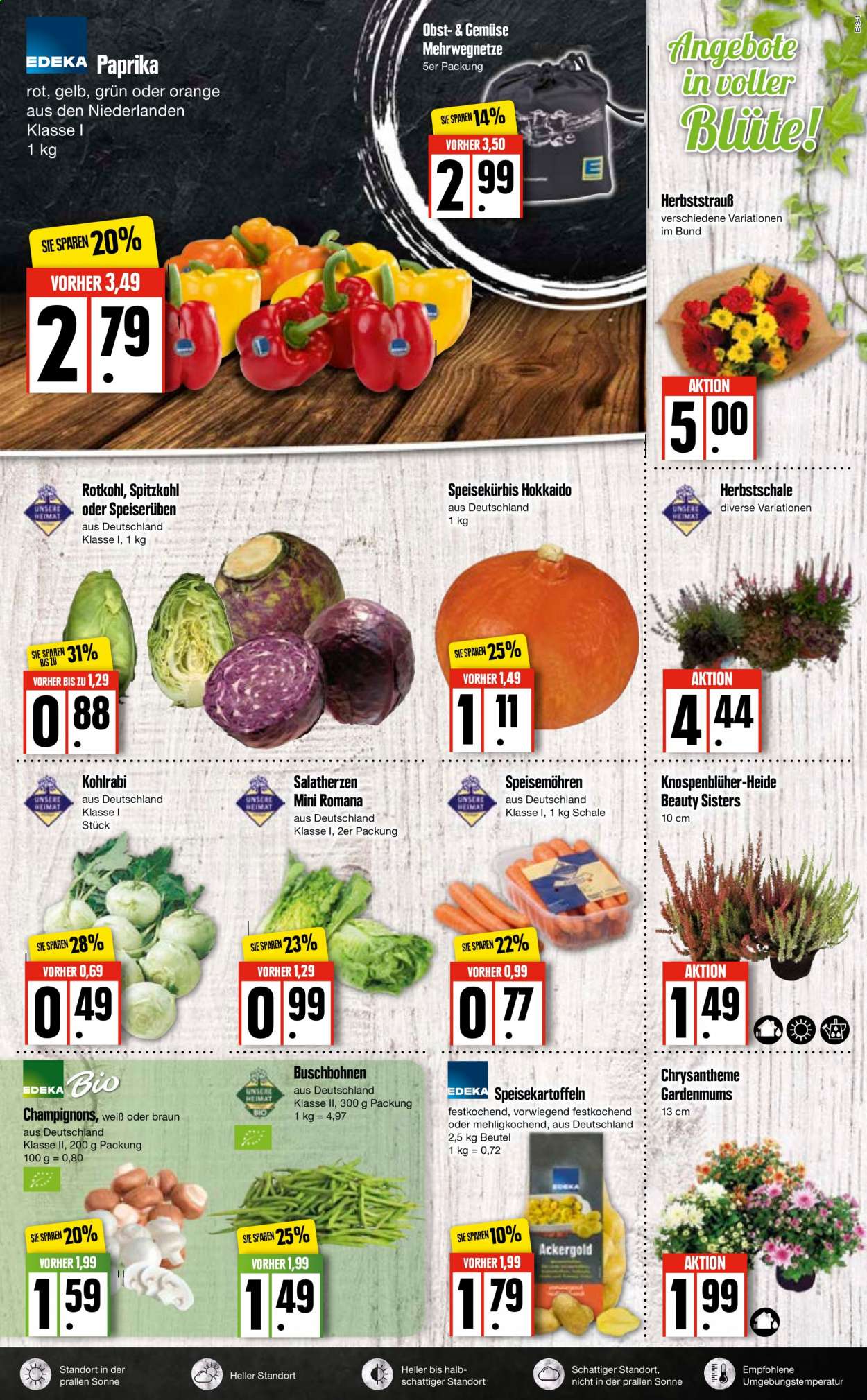 Edeka Prospekte  - 6.09.2021 - 11.09.2021. Seite 3