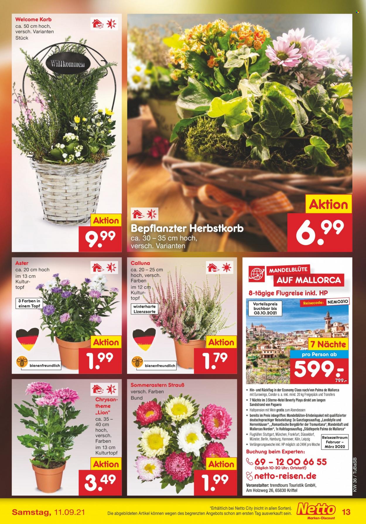 Netto Marken-Discount Prospekte  - 6.09.2021 - 11.09.2021. Seite 13