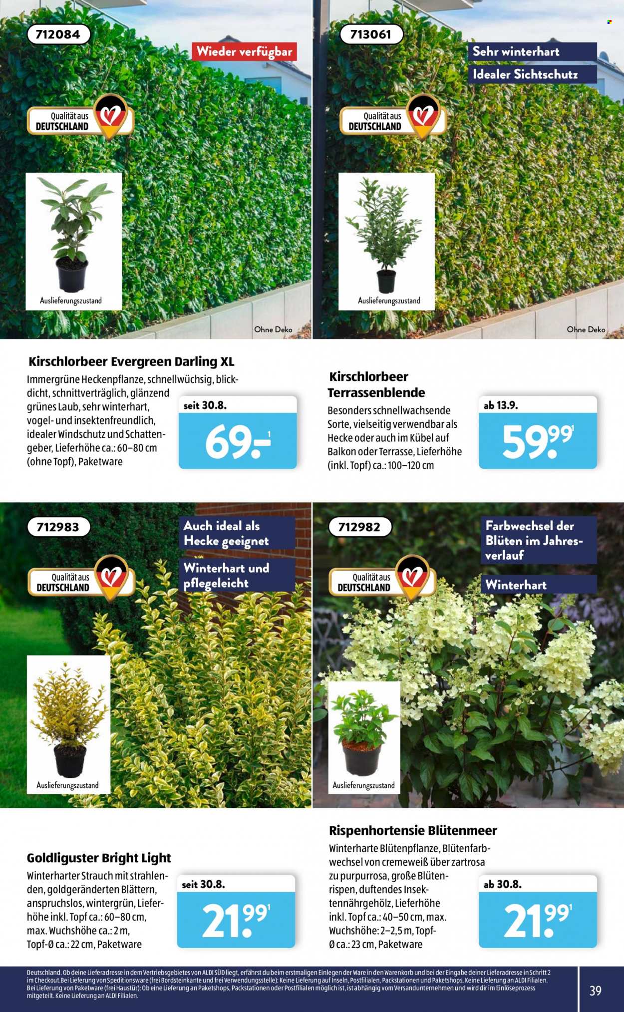 ALDI SÜD Prospekte . Seite 39