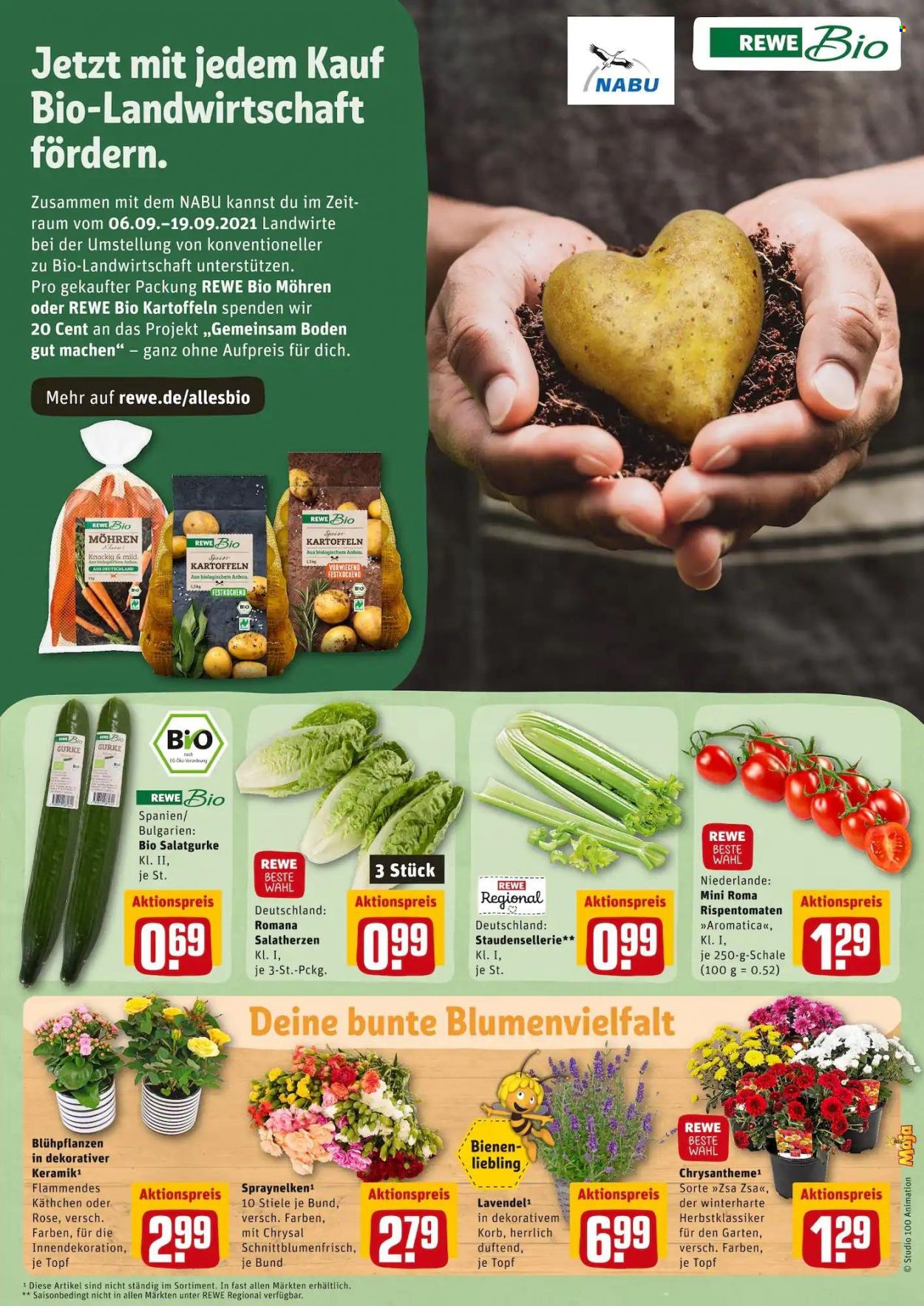 REWE Prospekte  - 6.09.2021 - 11.09.2021. Seite 4