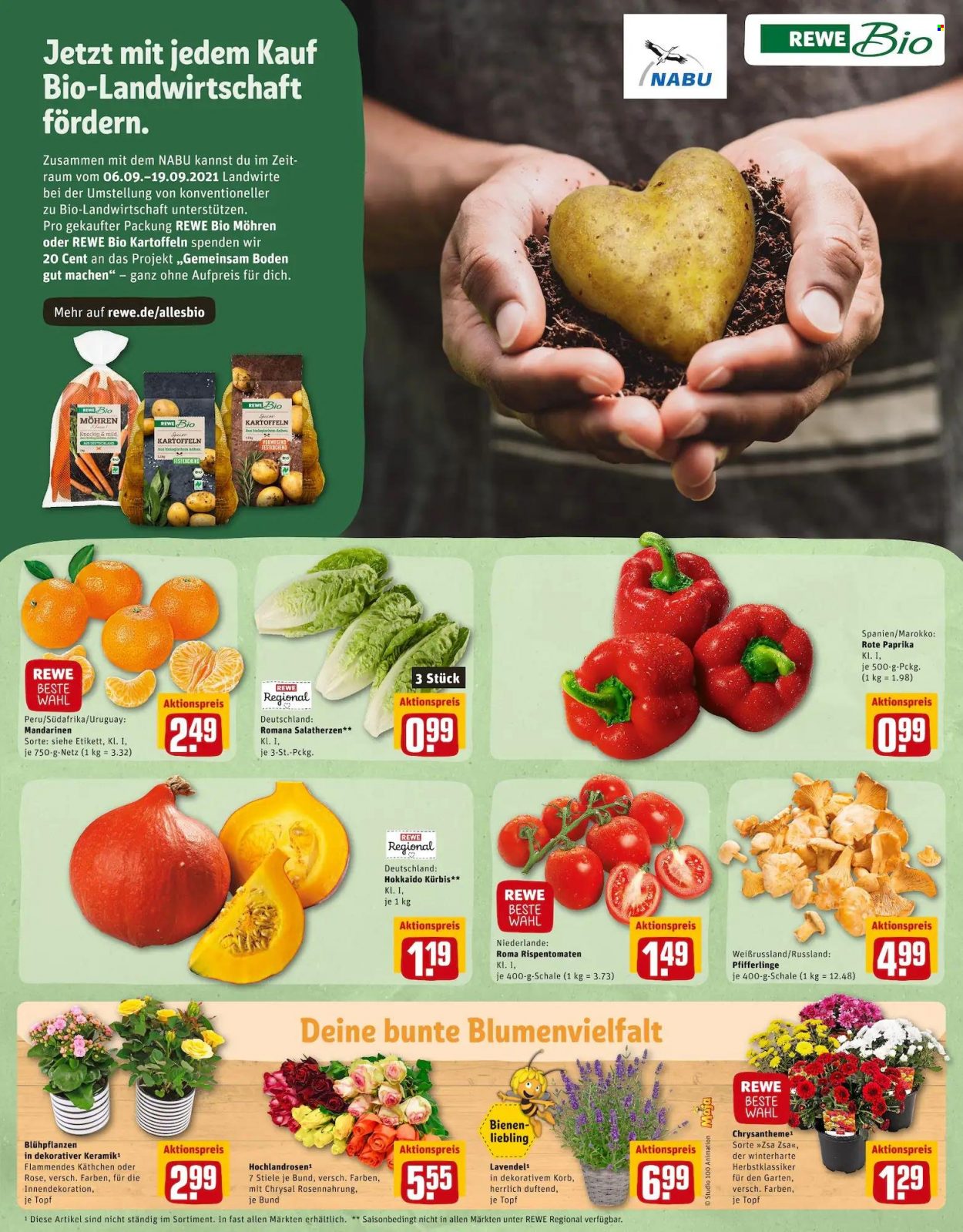 REWE Prospekte  - 6.09.2021 - 11.09.2021. Seite 5
