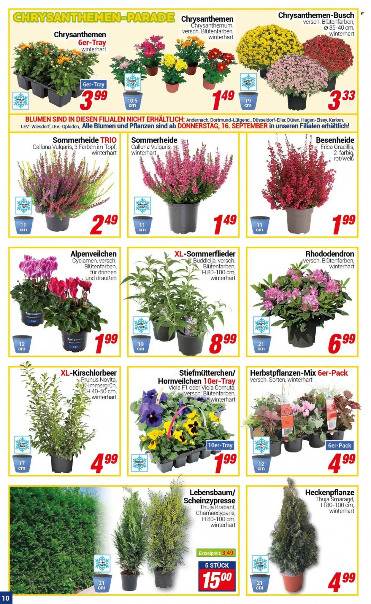 CENTERSHOP Prospekte  - 13.09.2021 - 18.09.2021. Seite 10