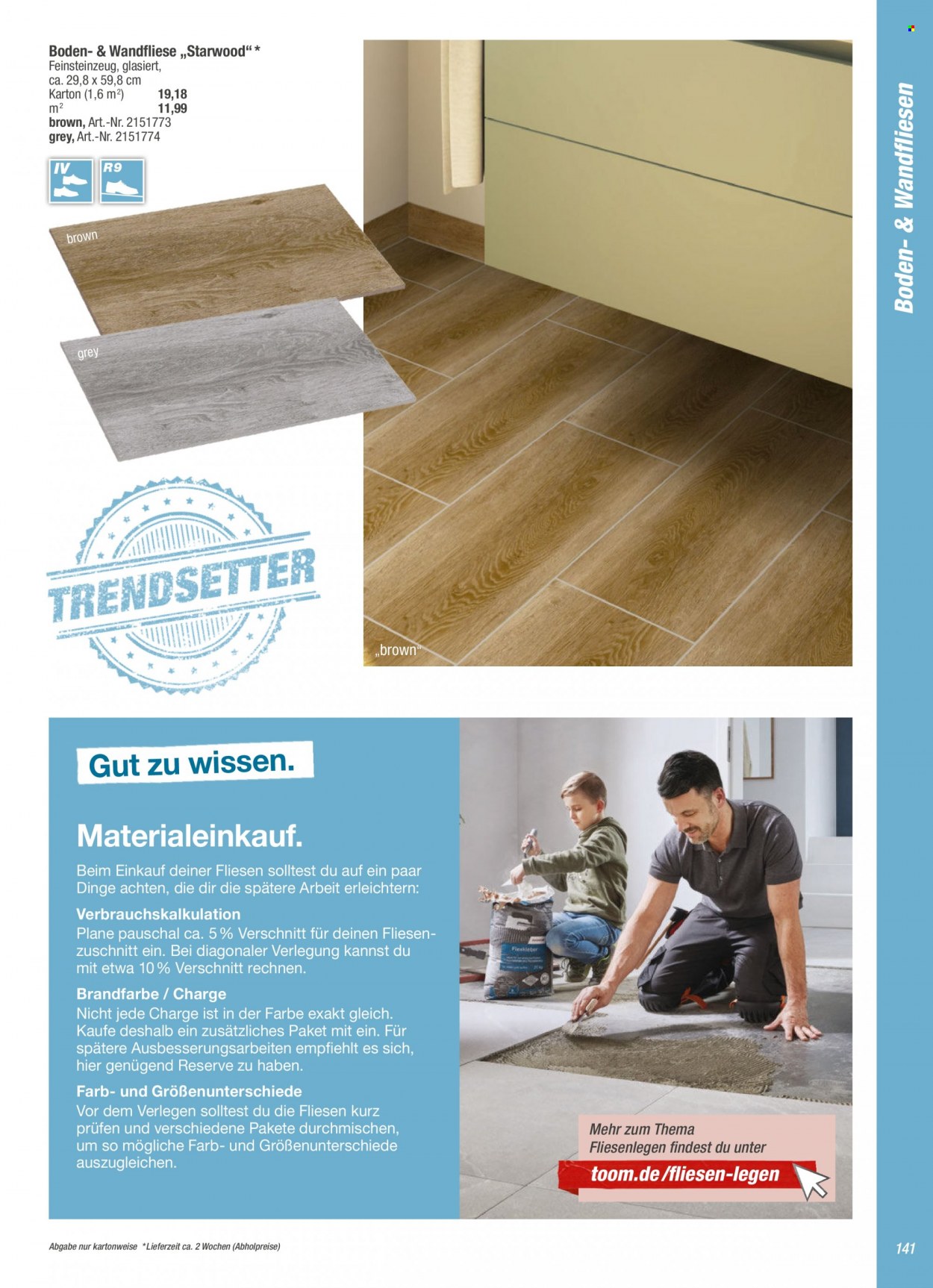toom Baumarkt Prospekte  - 1.09.2021 - 31.03.2022. Seite 141
