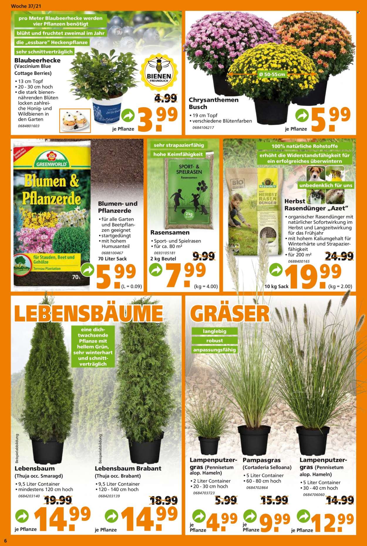 Globus Baumarkt Prospekte  - 13.09.2021 - 18.09.2021. Seite 6