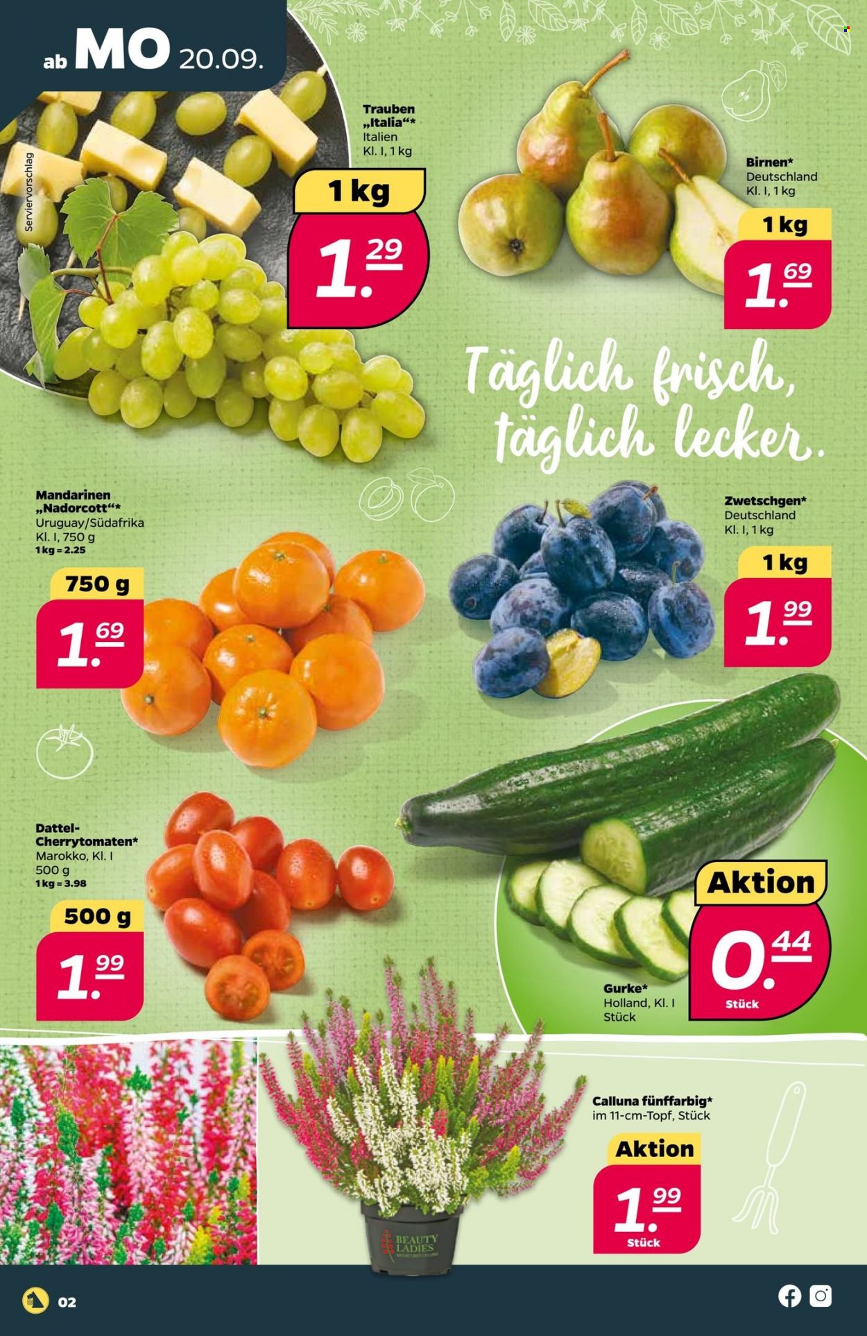 thumbnail - Prospekte Netto - 20.09.2021 - 25.09.2021 - Produkte in Aktion - Cherry-Tomaten, Gurken, Trauben, Birnen, Mandarinen. Seite 2.