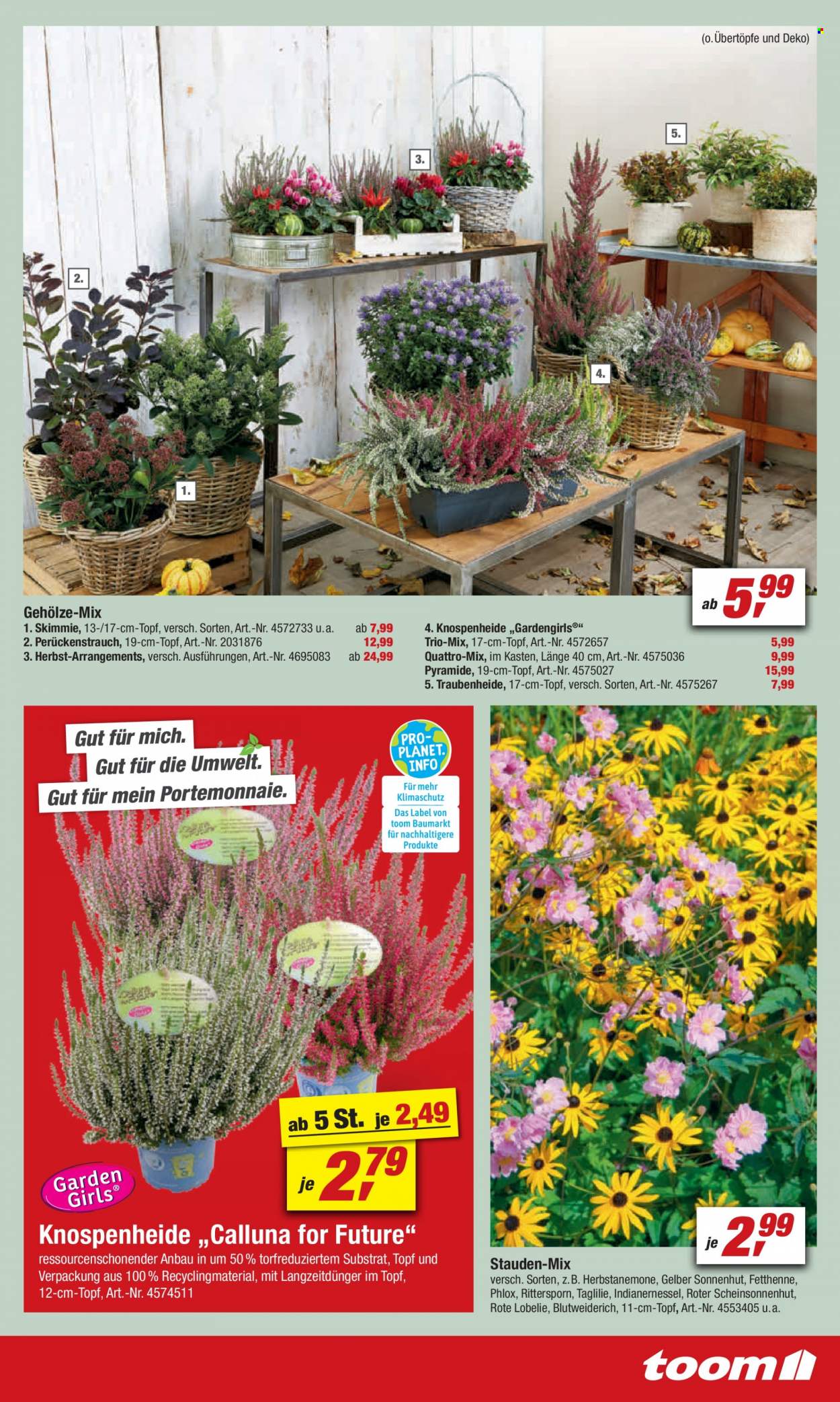 toom Baumarkt Prospekte  - 18.09.2021 - 24.09.2021. Seite 7