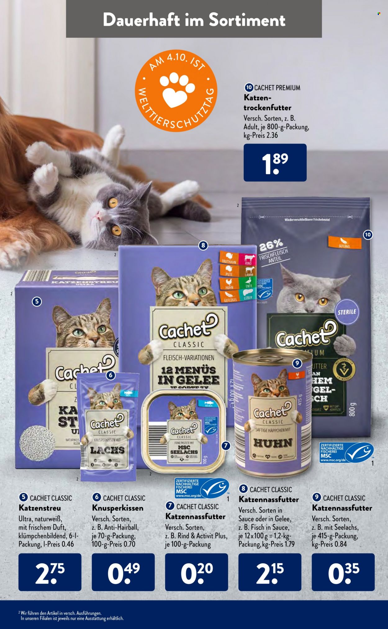 ALDI SÜD Prospekte  - 4.10.2021 - 9.10.2021. Seite 33