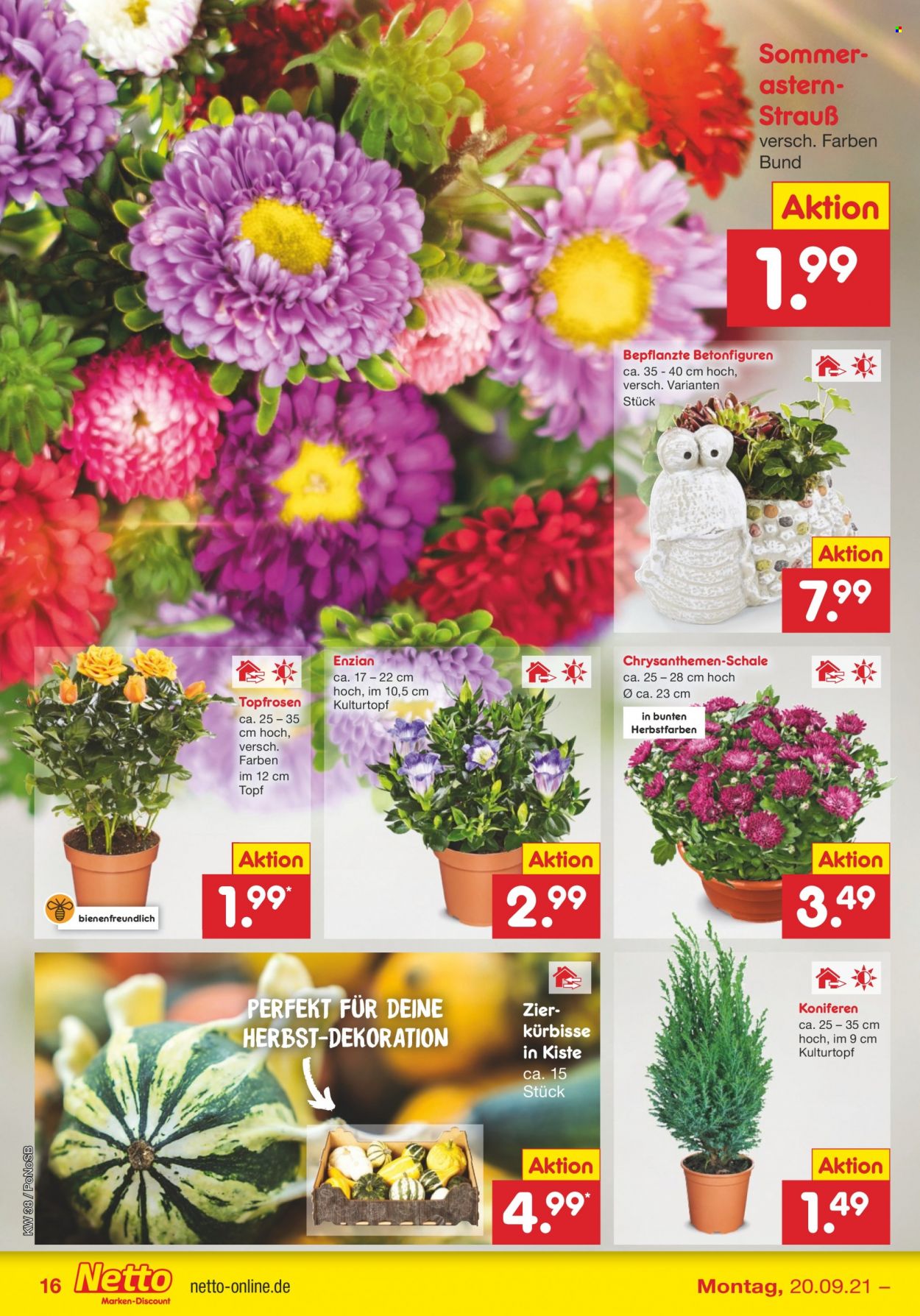 Netto Marken-Discount Prospekte  - 20.09.2021 - 25.09.2021. Seite 16