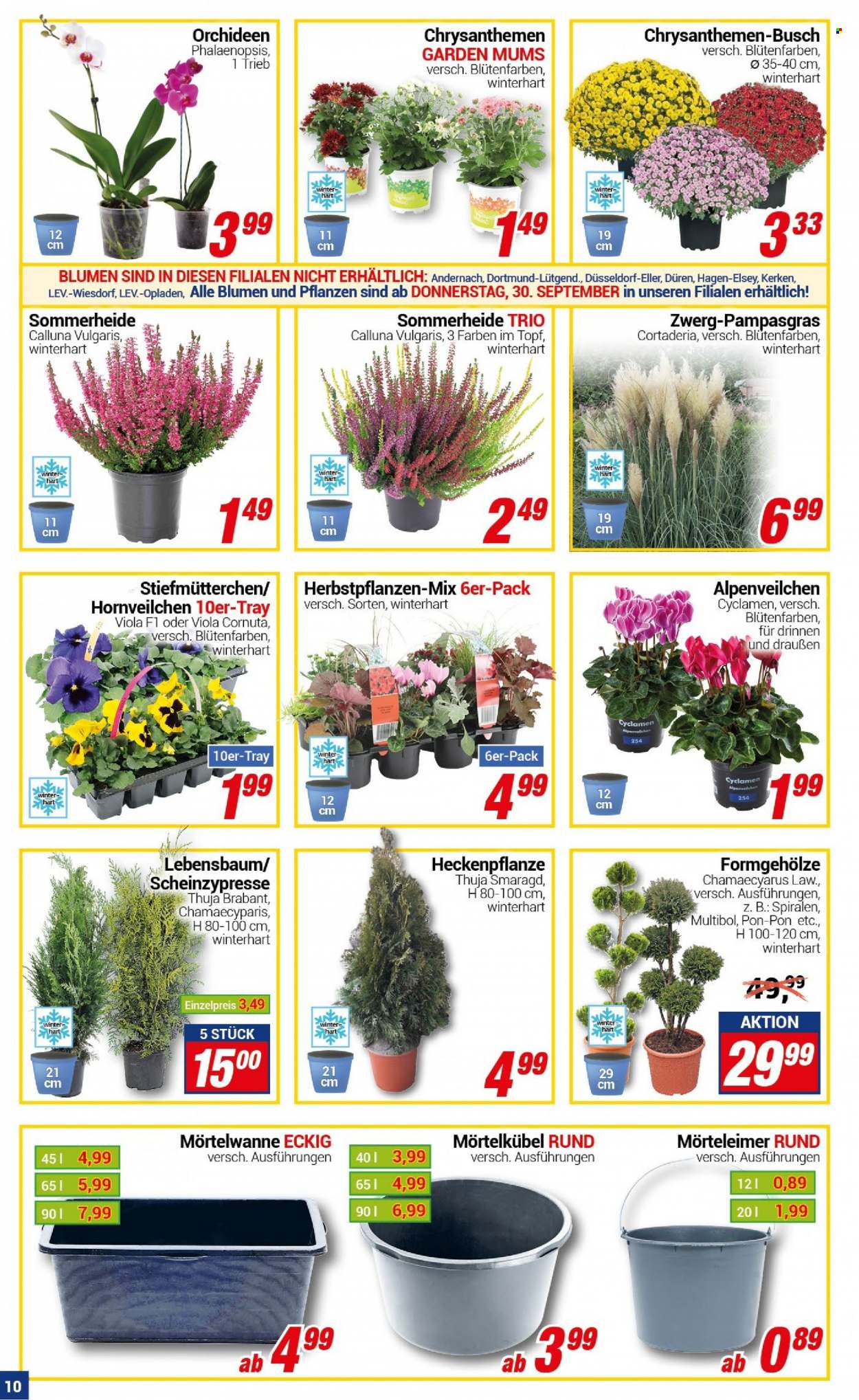 CENTERSHOP Prospekte  - 27.09.2021 - 2.10.2021. Seite 10