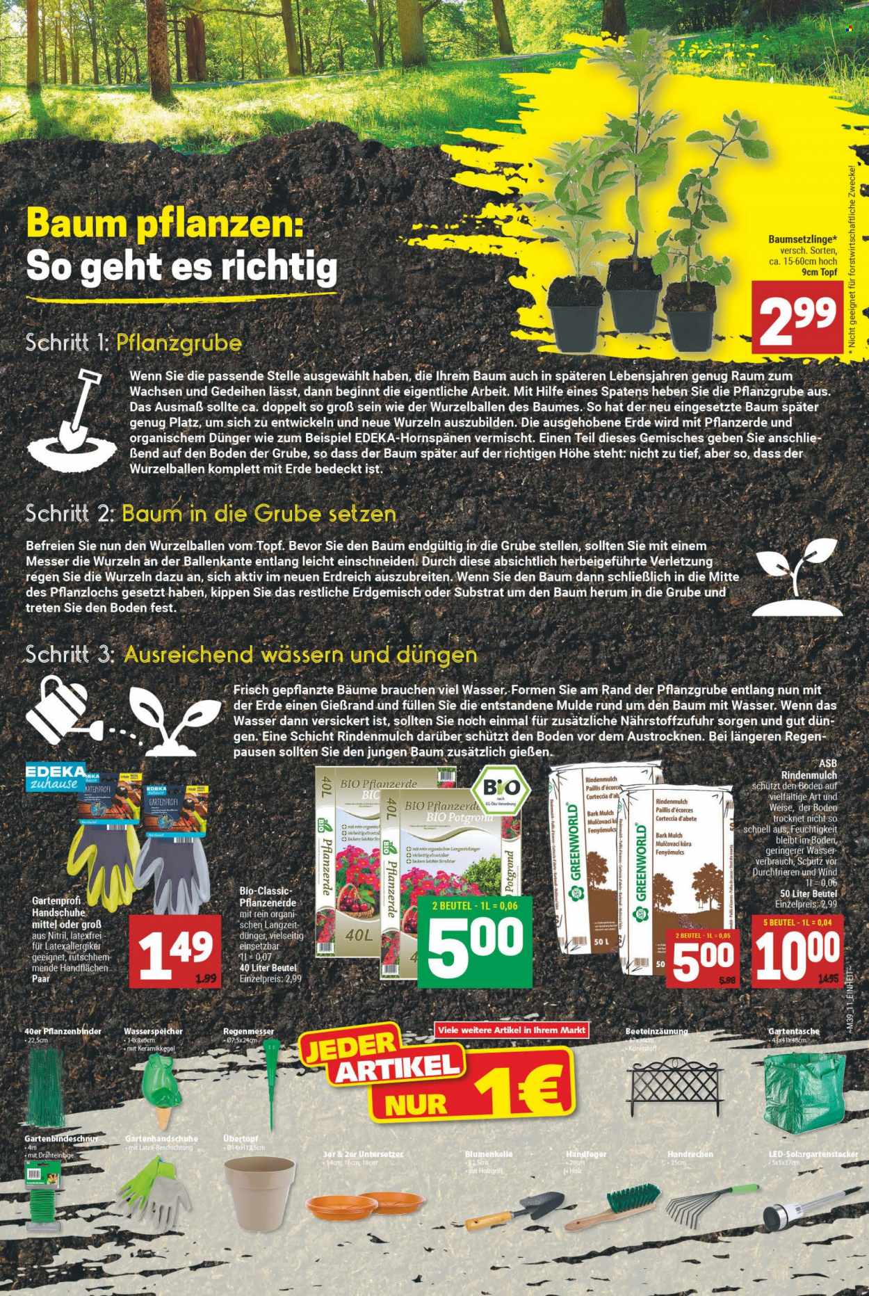 Marktkauf Prospekte  - 27.09.2021 - 2.10.2021. Seite 11