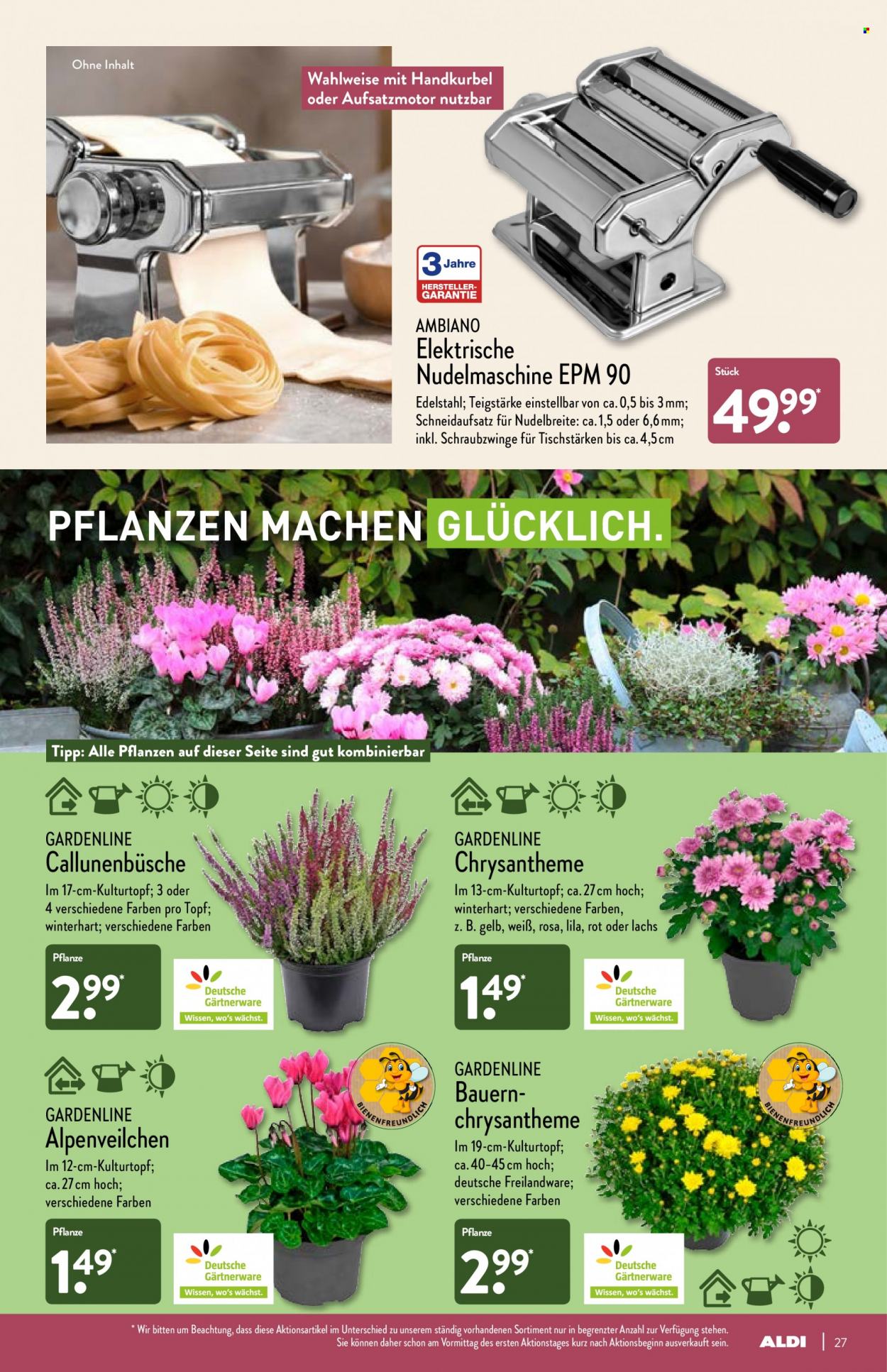 ALDI Nord Prospekte  - 4.10.2021 - 9.10.2021. Seite 27