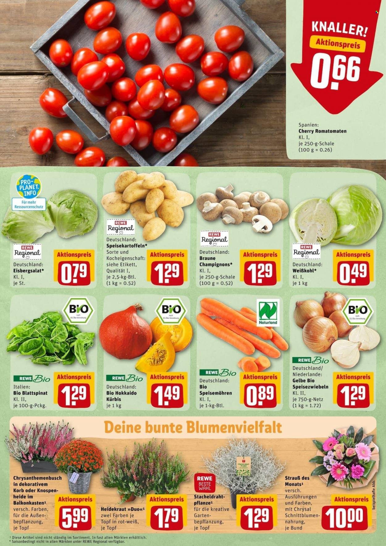 REWE Prospekte  - 27.09.2021 - 2.10.2021. Seite 5