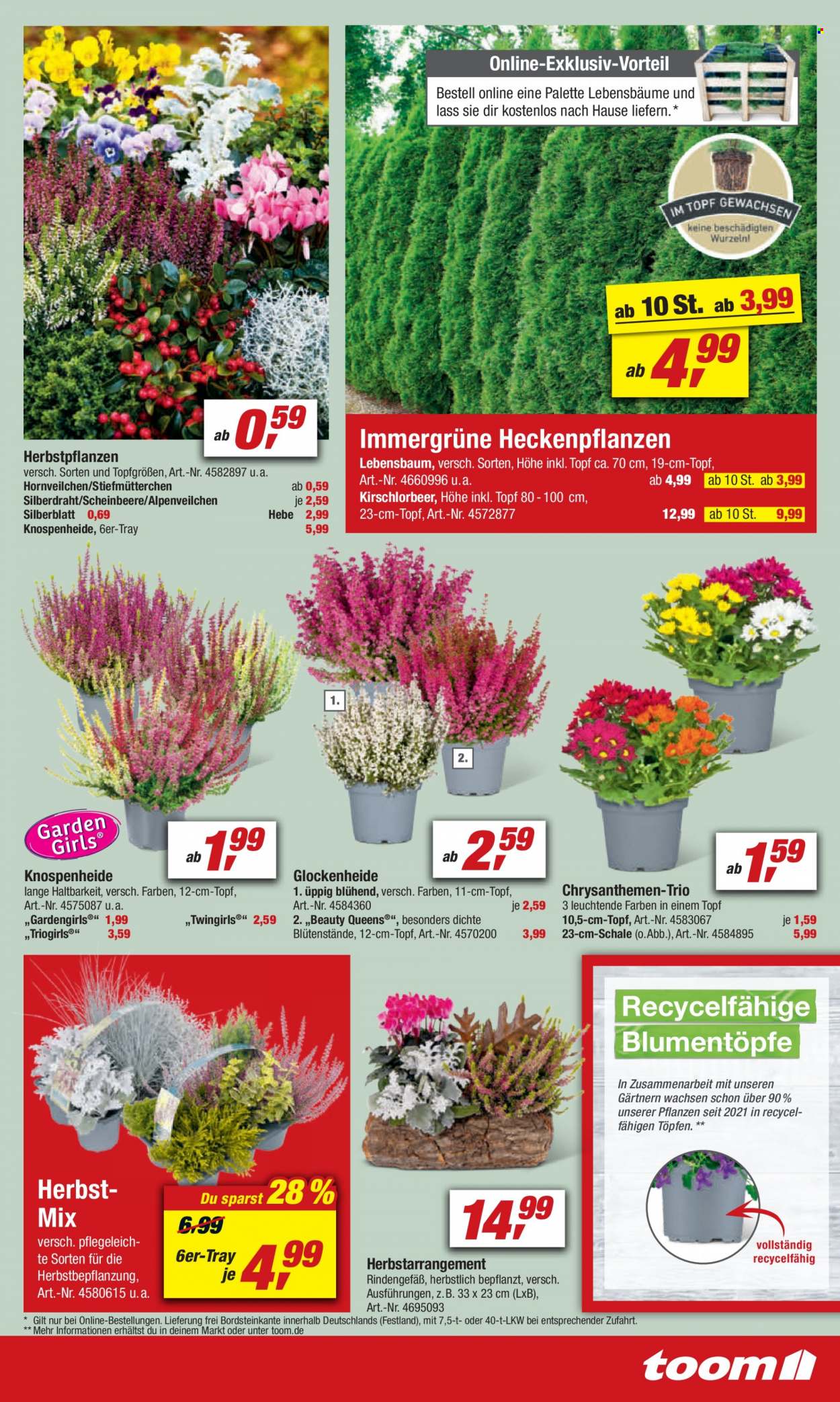toom Baumarkt Prospekte  - 2.10.2021 - 8.10.2021. Seite 5