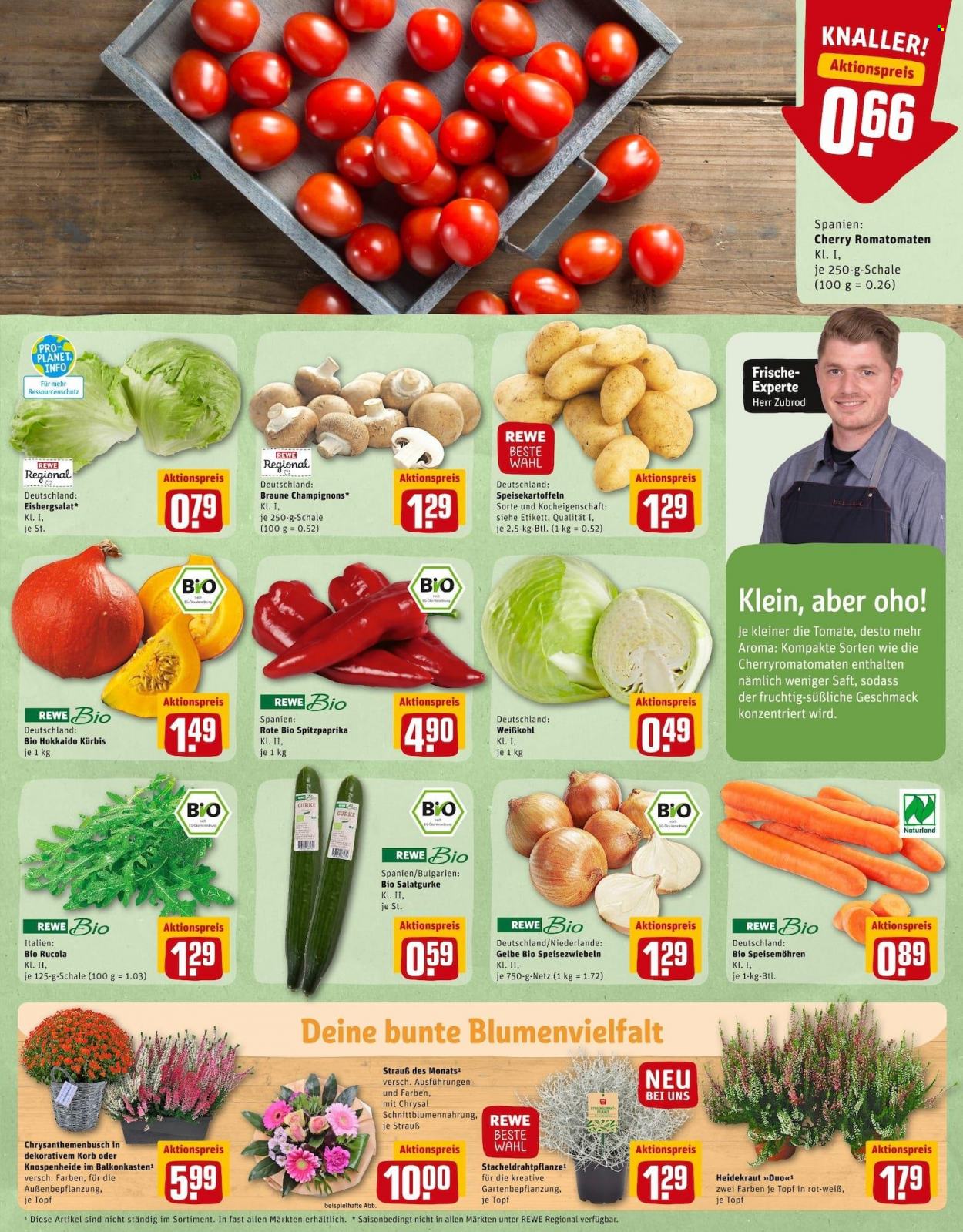 REWE Prospekte  - 27.09.2021 - 2.10.2021. Seite 7
