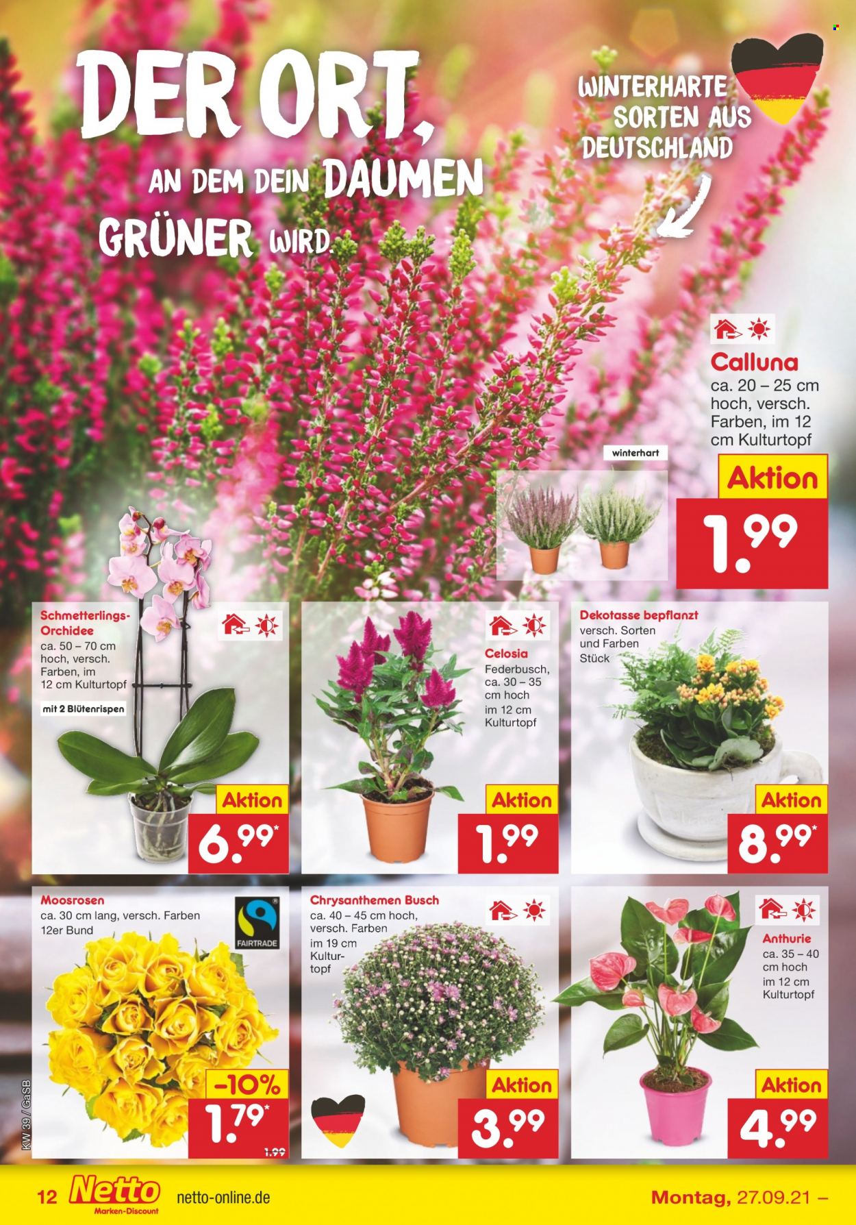 Netto Marken-Discount Prospekte  - 27.09.2021 - 2.10.2021. Seite 12