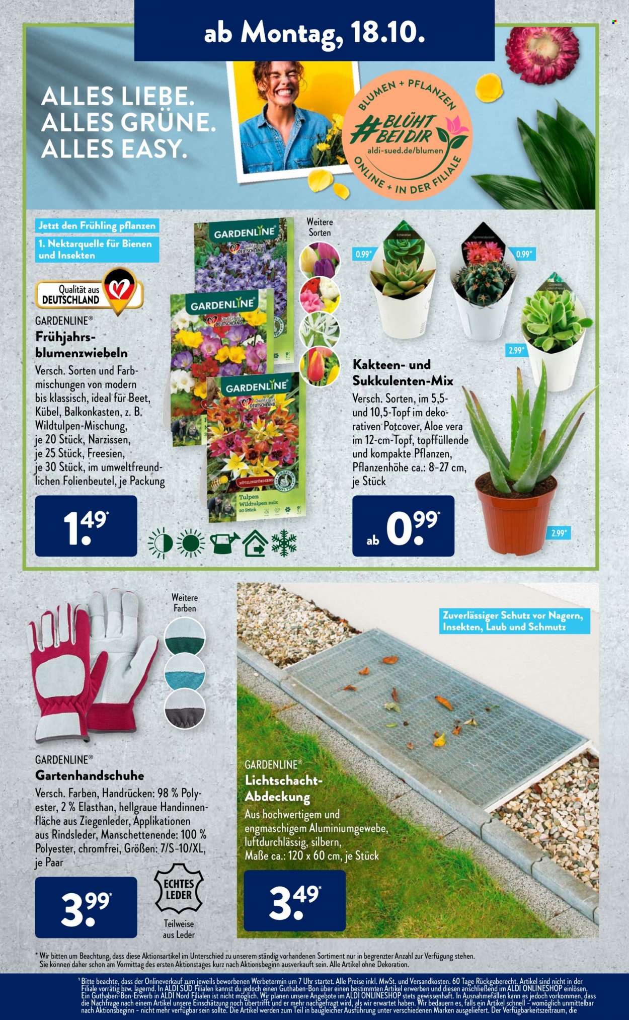 ALDI SÜD Prospekte  - 18.10.2021 - 23.10.2021. Seite 8