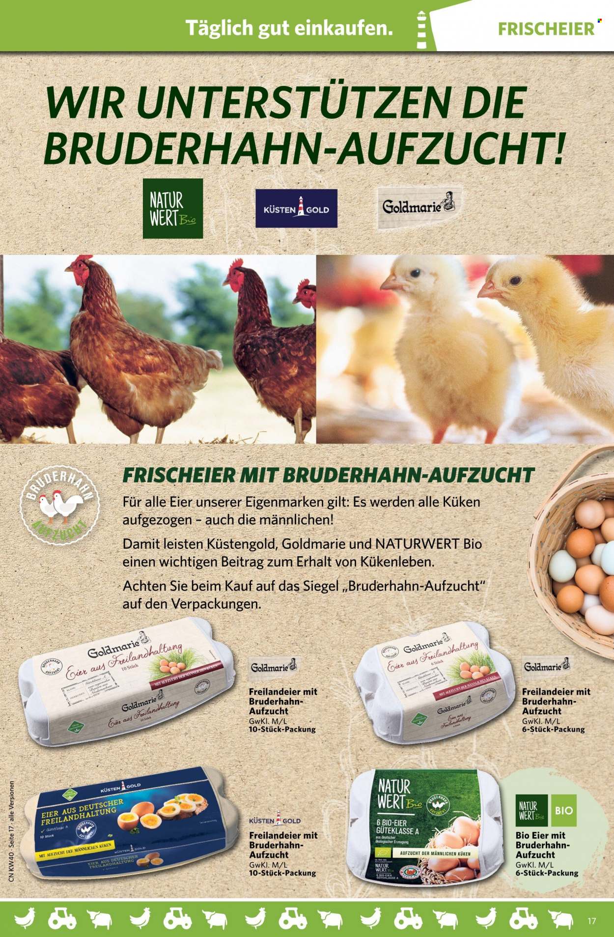 Combi Prospekte  - 4.10.2021 - 9.10.2021. Seite 17