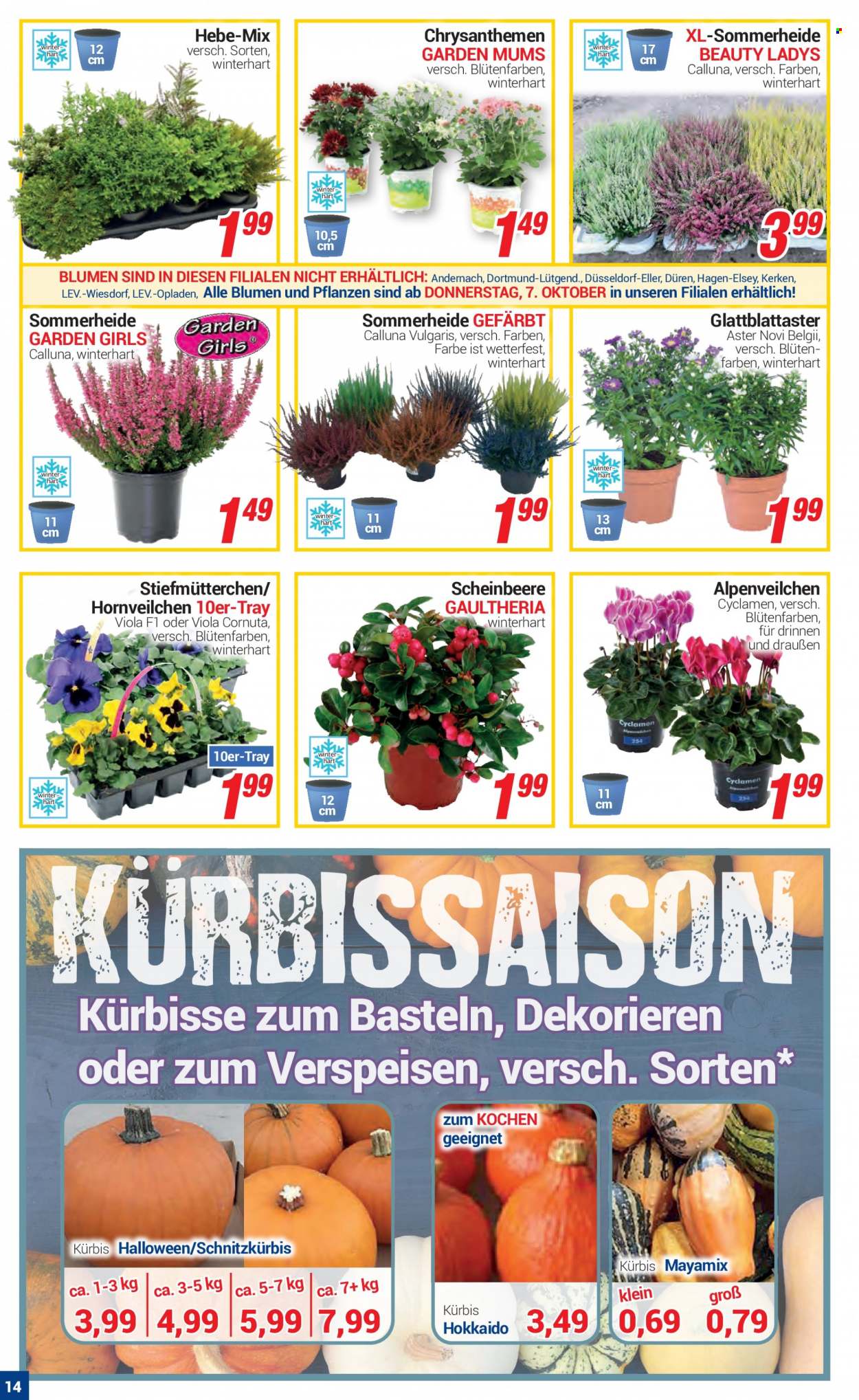 CENTERSHOP Prospekte  - 4.10.2021 - 9.10.2021. Seite 14