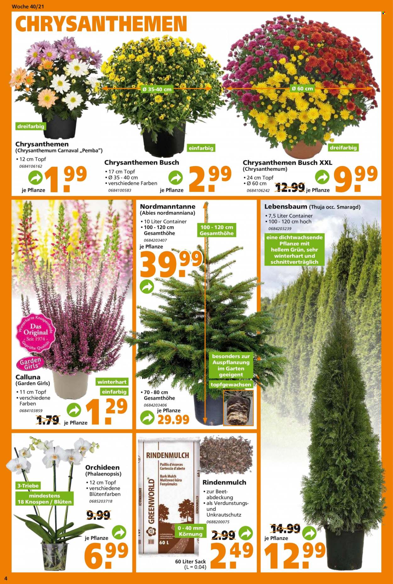 Globus Baumarkt Prospekte  - 5.10.2021 - 12.10.2021. Seite 4