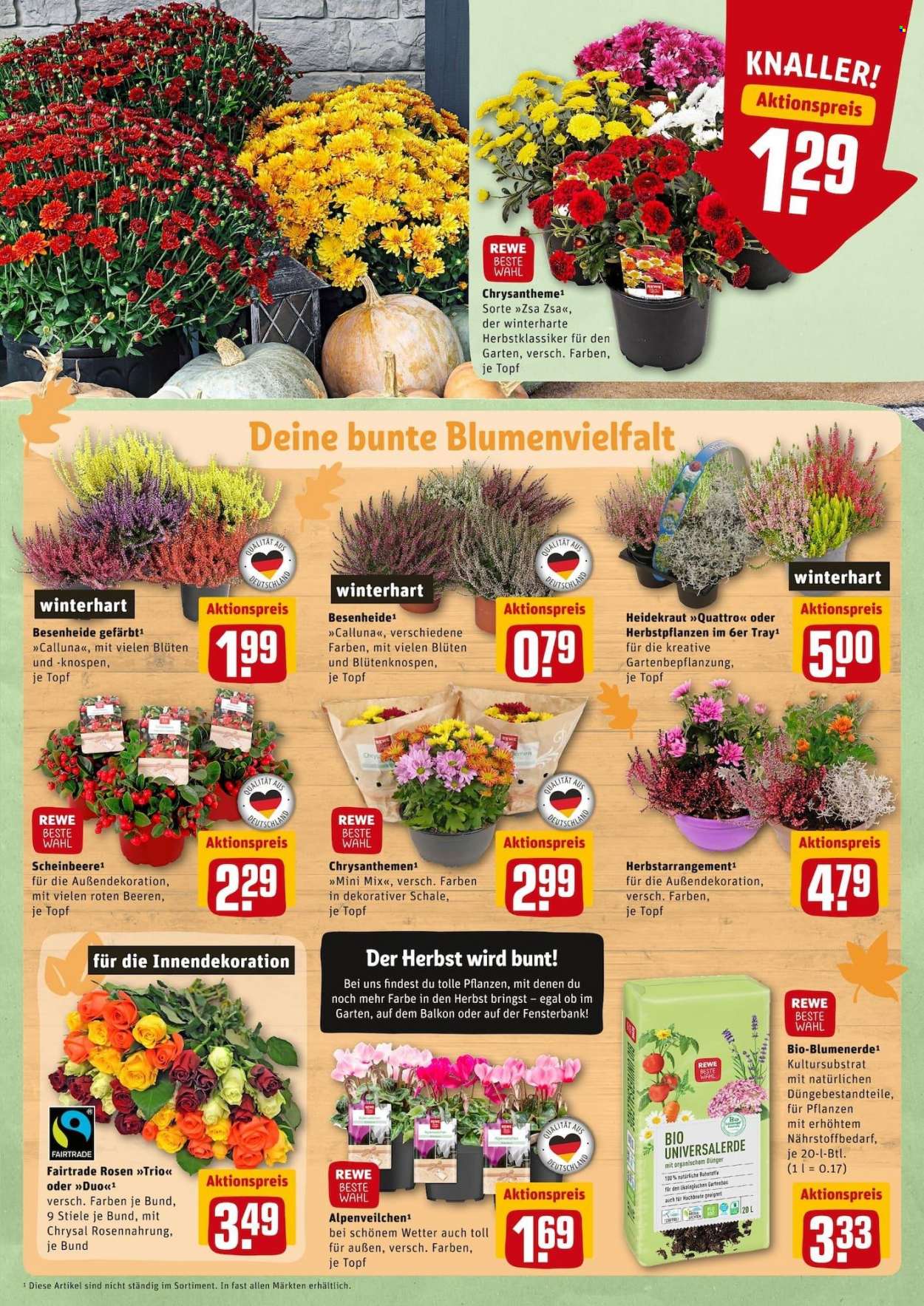 REWE Prospekte  - 4.10.2021 - 9.10.2021. Seite 3