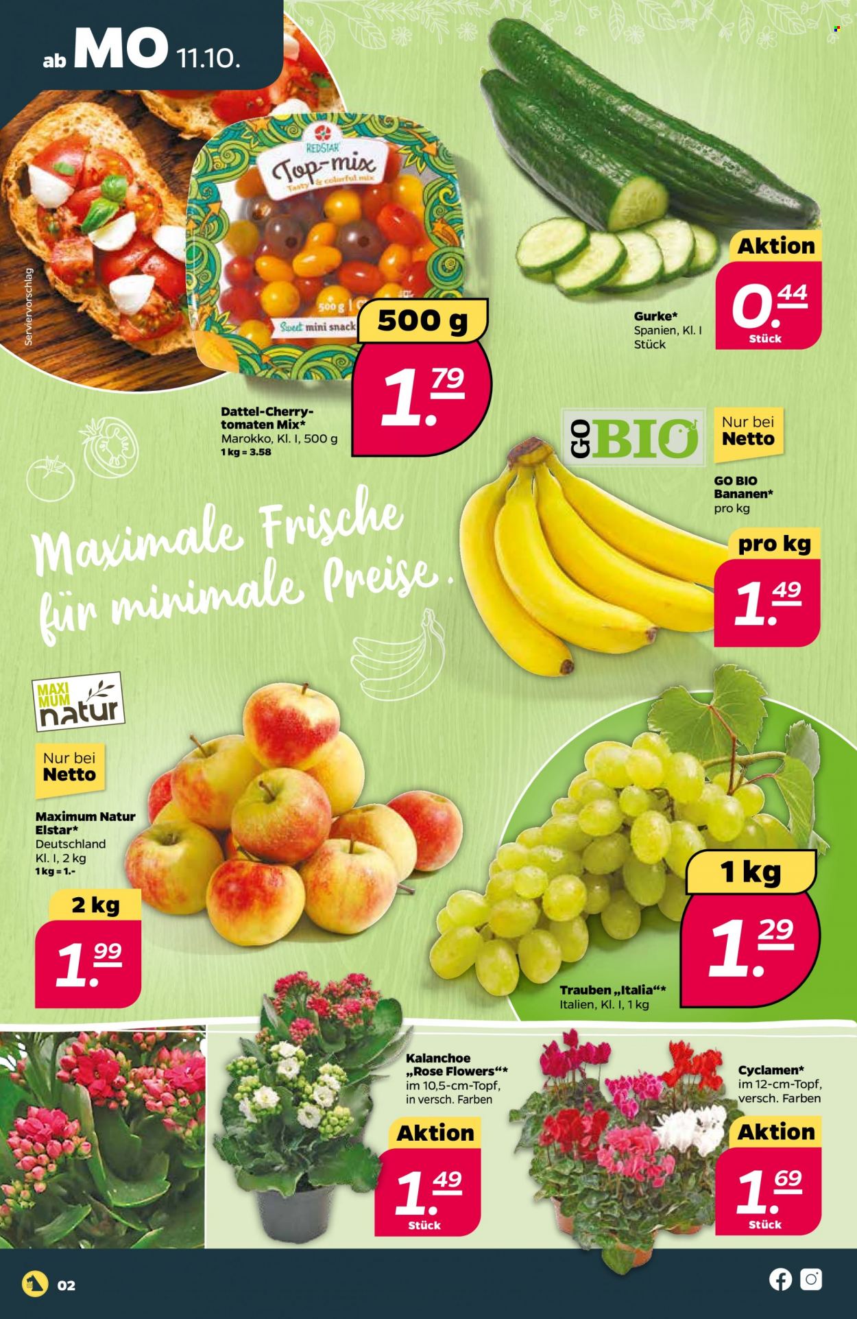 thumbnail - Prospekte Netto - 11.10.2021 - 16.10.2021 - Produkte in Aktion - Tomaten, Gurken, Trauben, Bananen, Flowers. Seite 2.