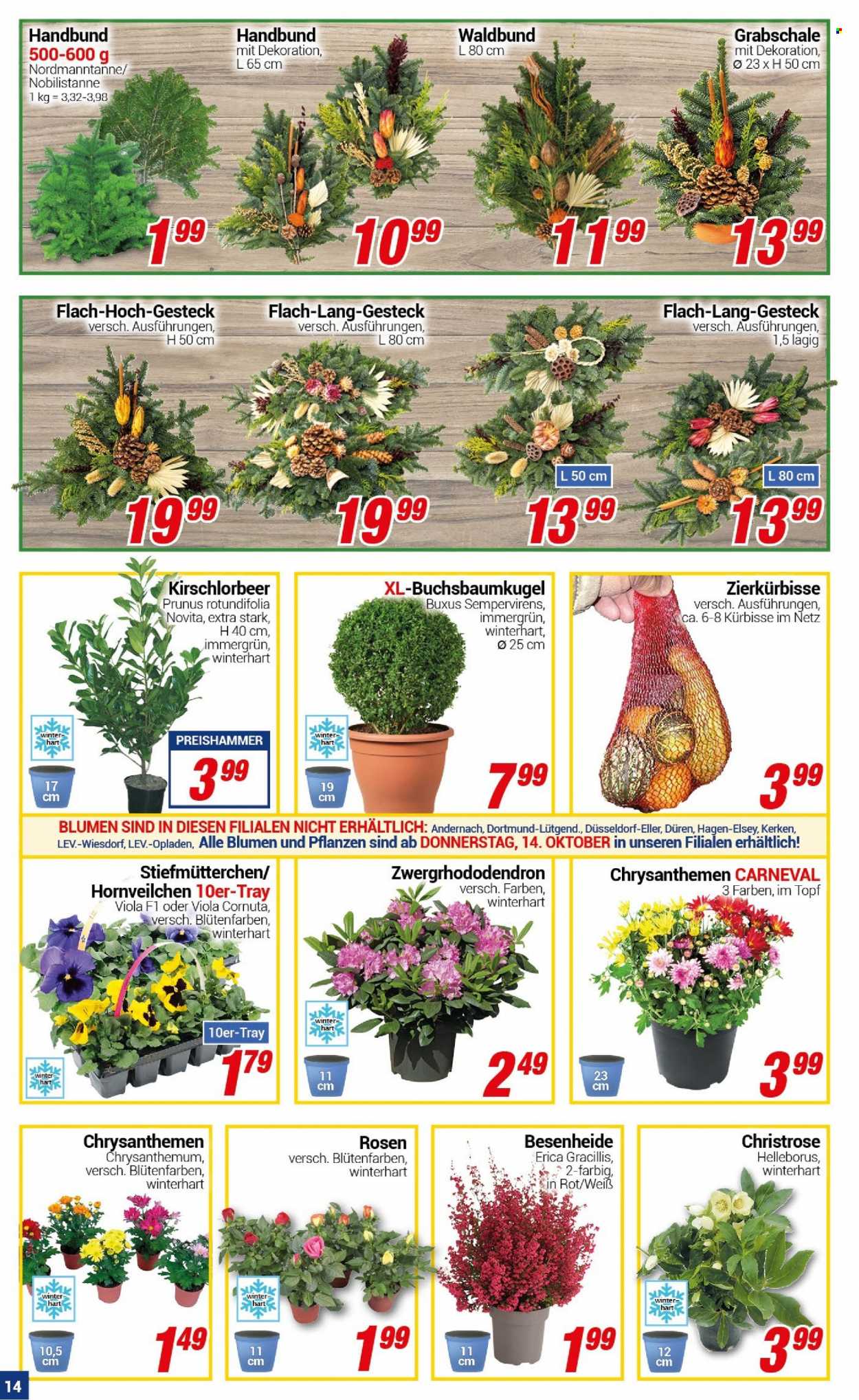 CENTERSHOP Prospekte  - 11.10.2021 - 16.10.2021. Seite 14