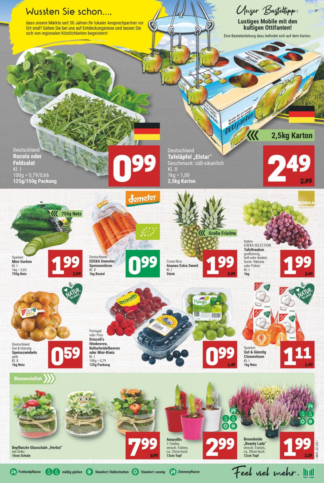 Marktkauf Prospekte  - 11.10.2021 - 16.10.2021. Seite 7