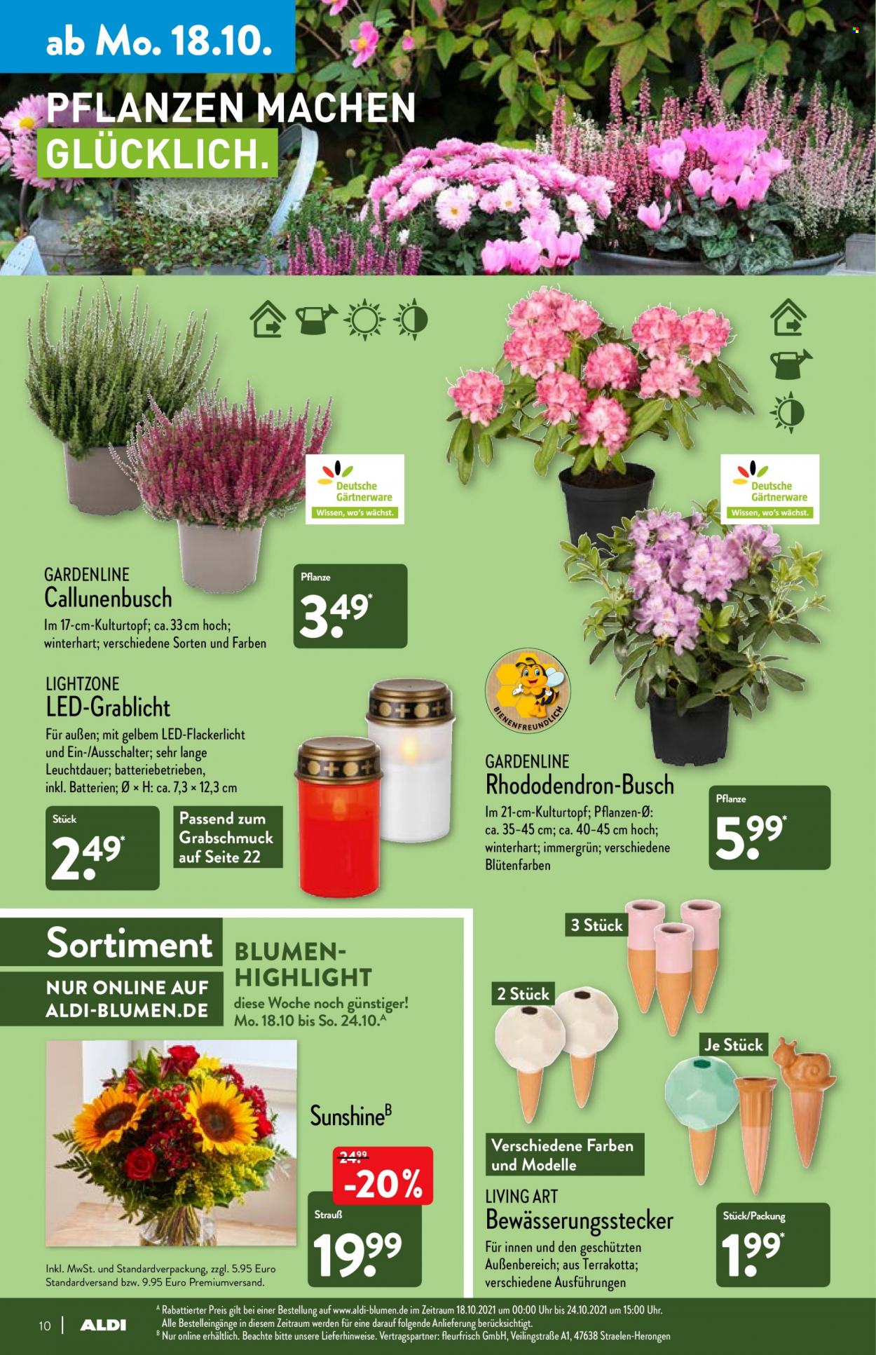 ALDI Nord Prospekte  - 18.10.2021 - 23.10.2021. Seite 10