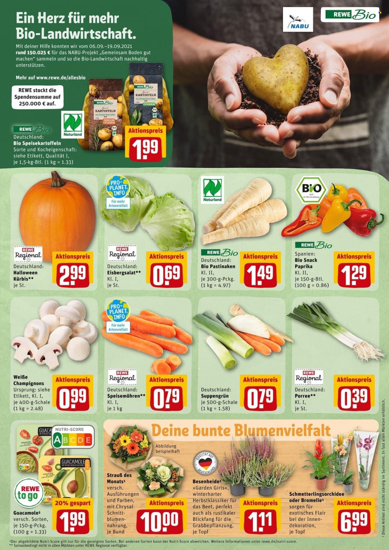 REWE Prospekte  - 11.10.2021 - 16.10.2021. Seite 7