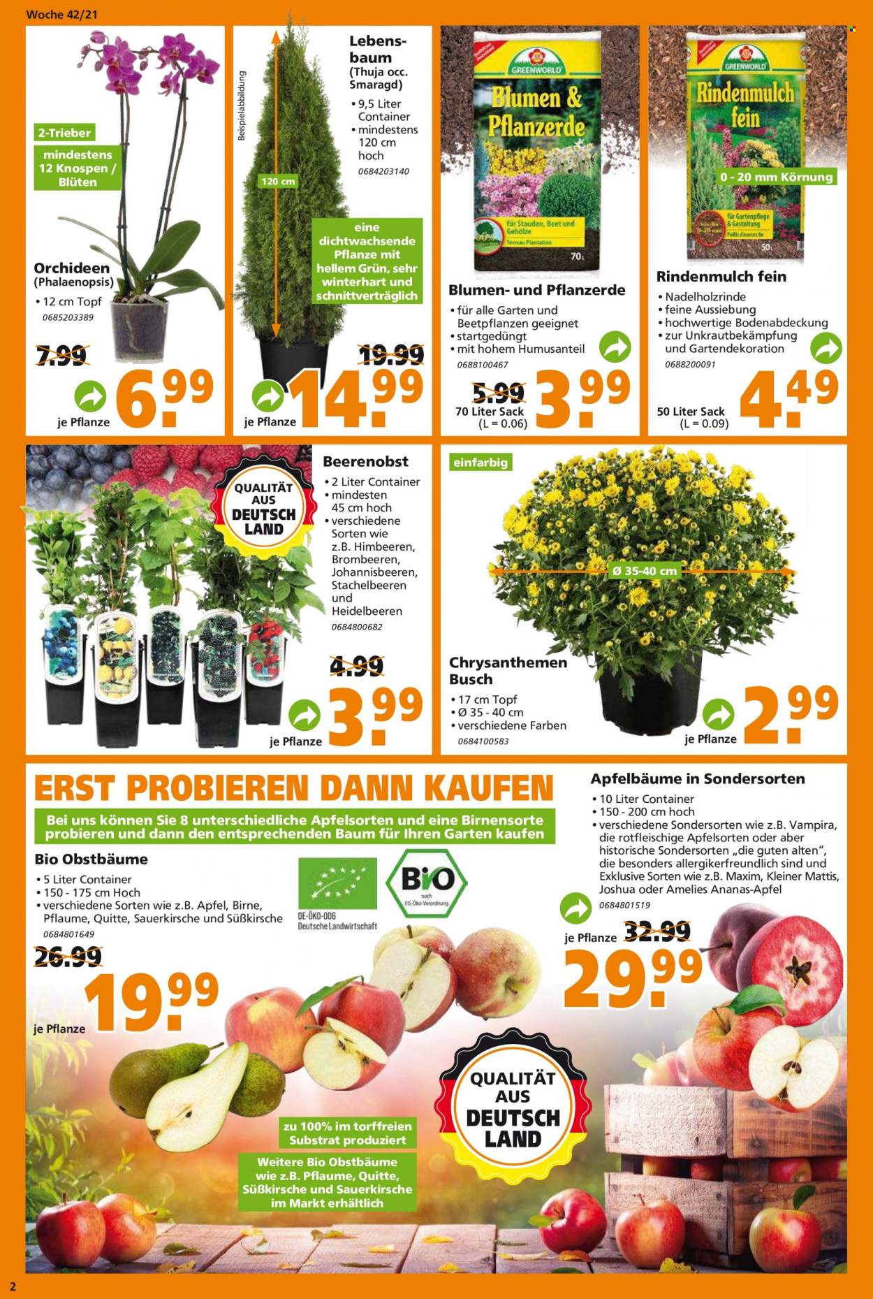 Globus Baumarkt Prospekte  - 19.10.2021 - 26.10.2021. Seite 2