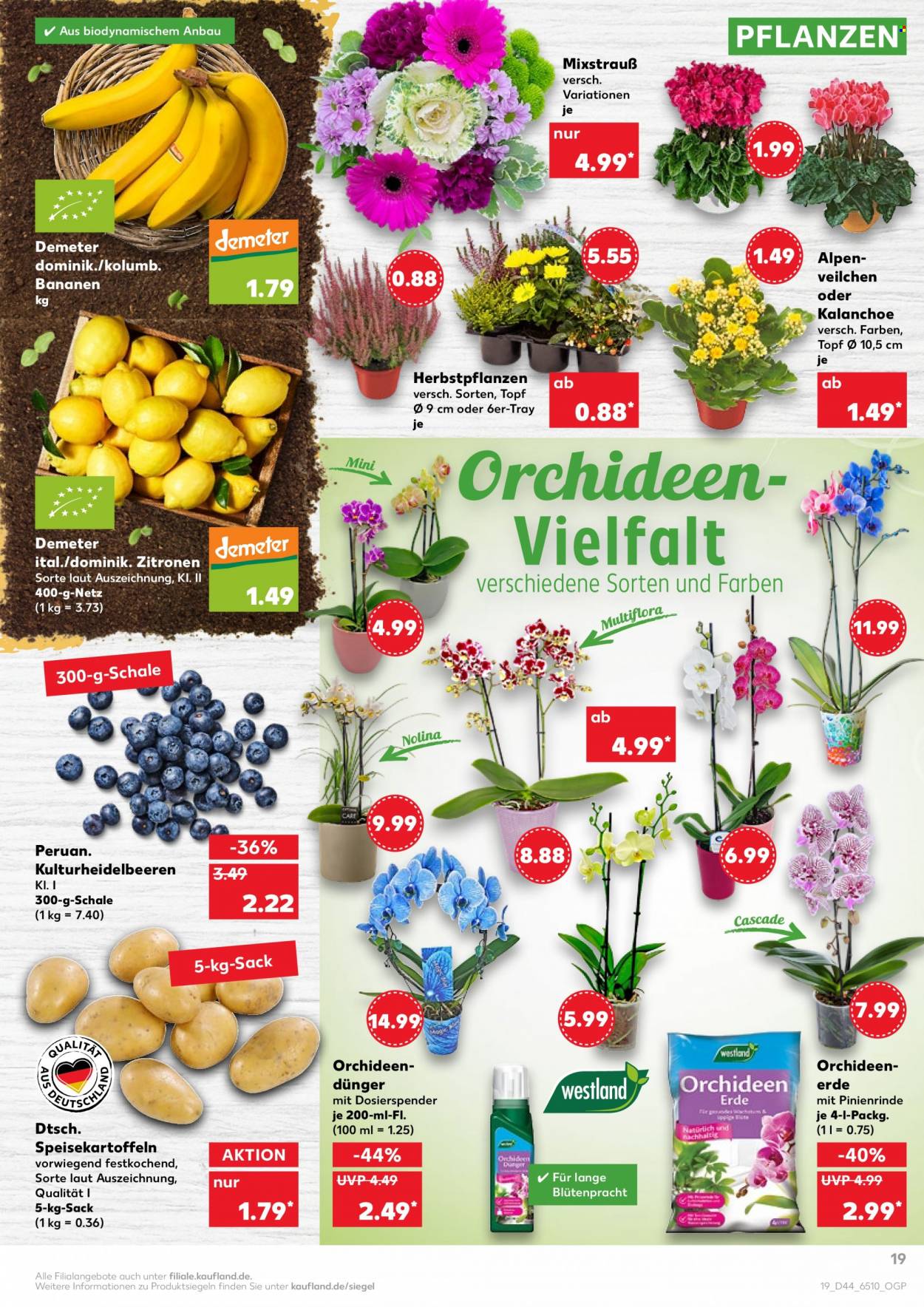 Kaufland Prospekte  - 4.11.2021 - 10.11.2021. Seite 19