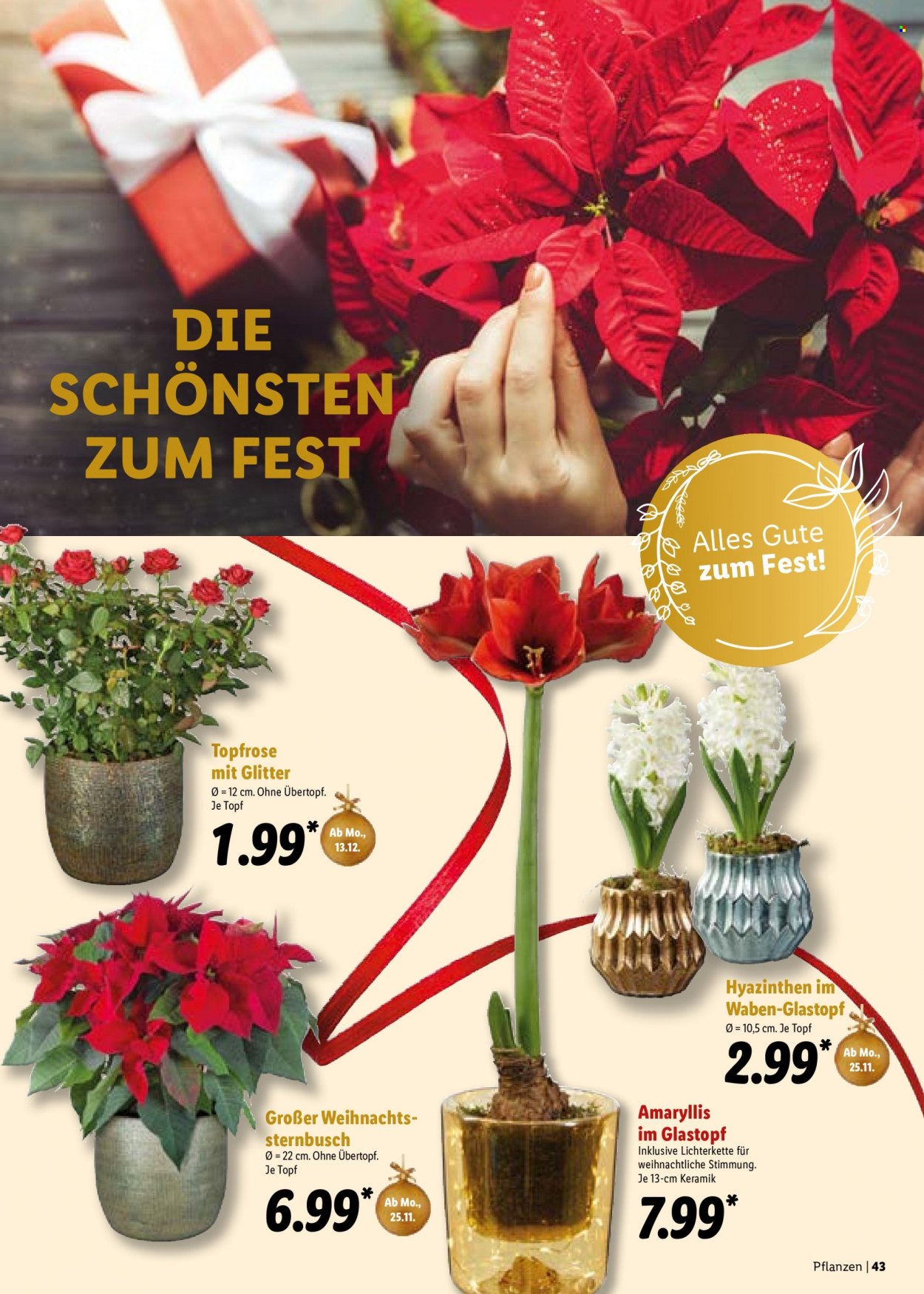Lidl Prospekte . Seite 43