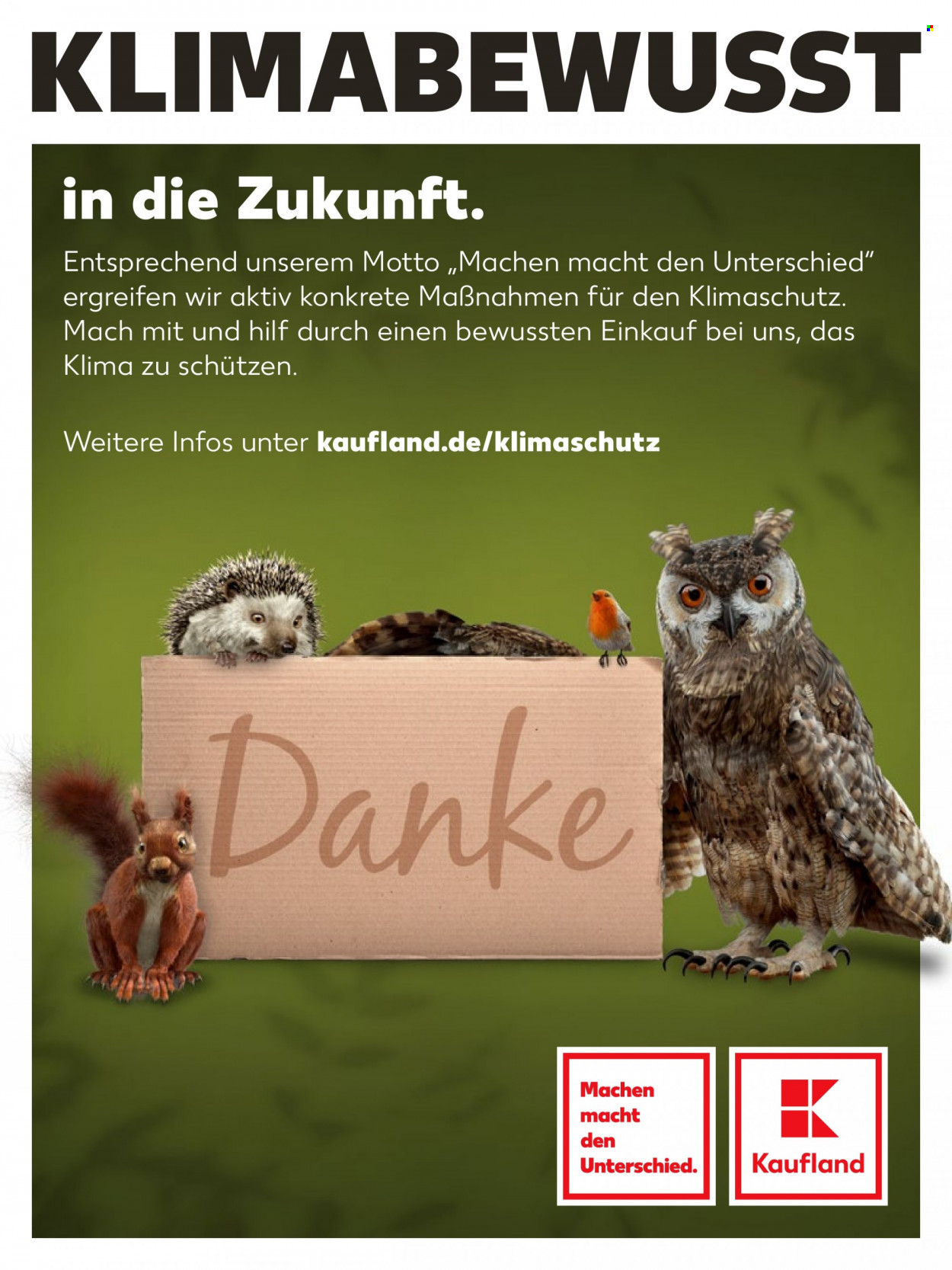 Kaufland Prospekte . Seite 15