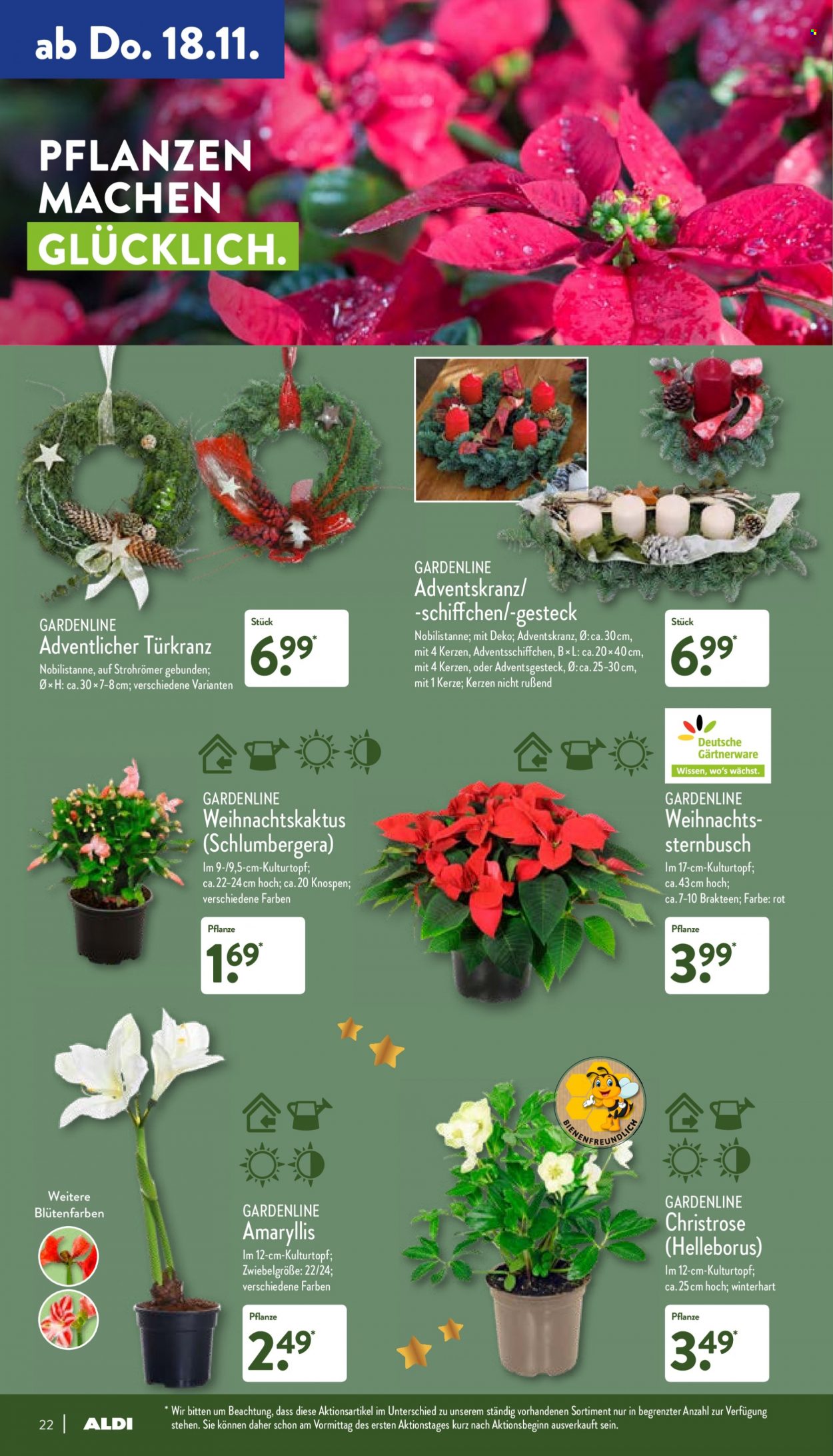 ALDI Nord Prospekte  - 15.11.2021 - 20.11.2021. Seite 22