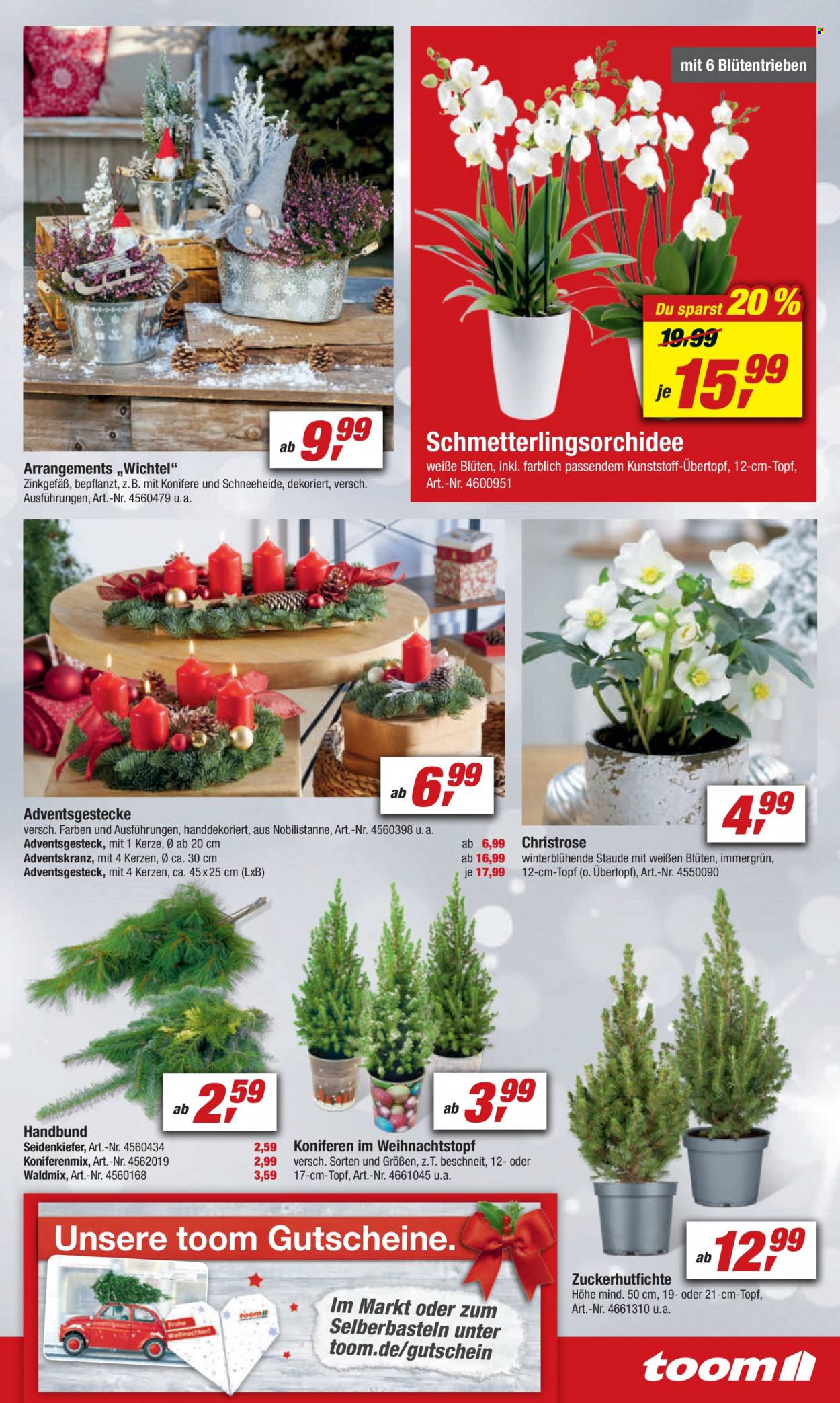 toom Baumarkt Prospekte  - 20.11.2021 - 26.11.2021. Seite 7