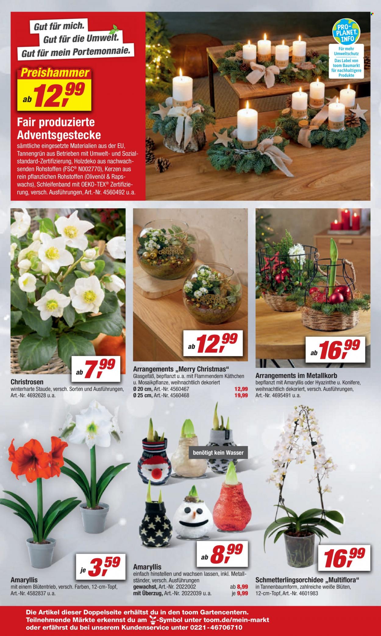 toom Baumarkt Prospekte  - 20.11.2021 - 26.11.2021. Seite 8