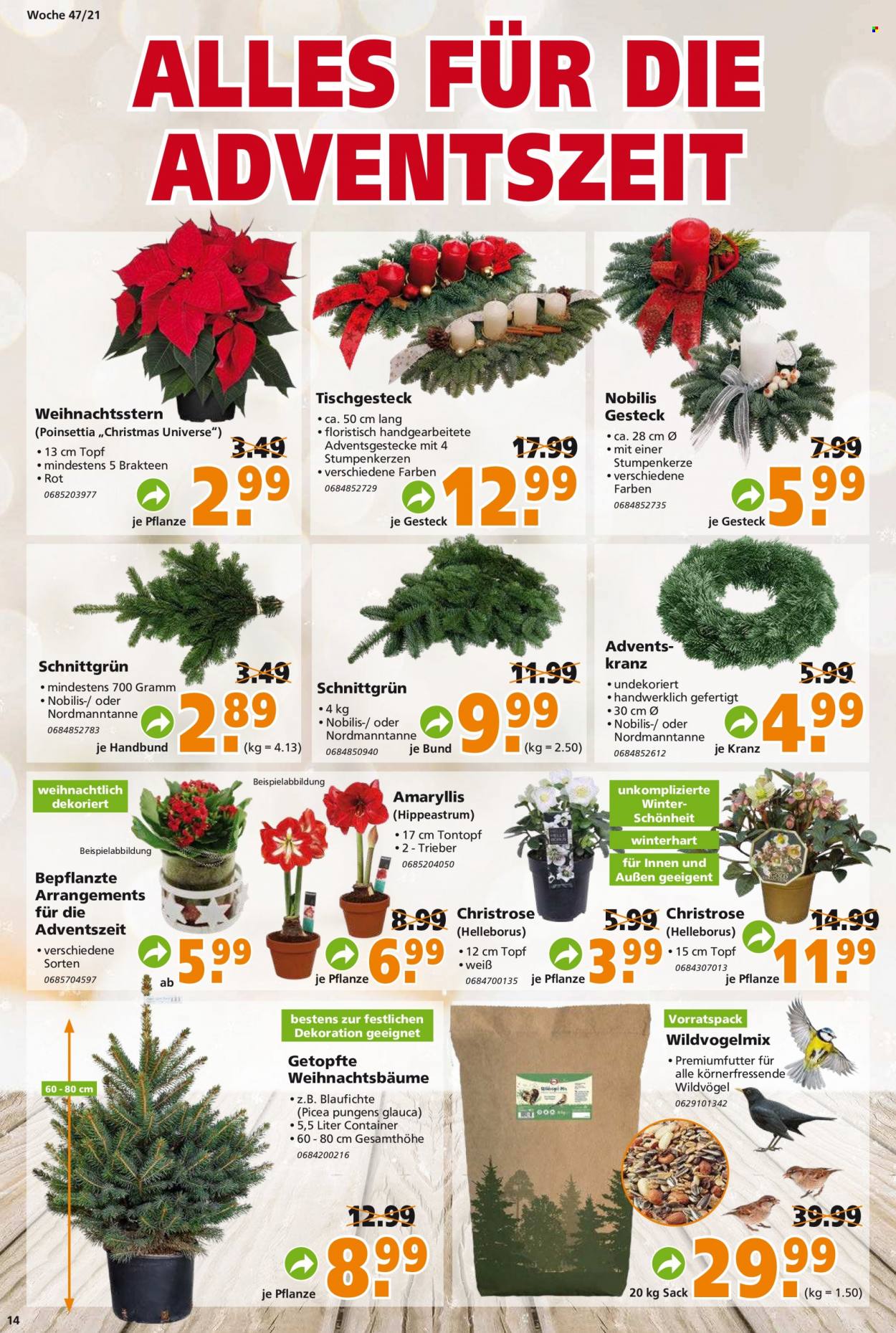 Globus Baumarkt Prospekte  - 22.11.2021 - 27.11.2021. Seite 14