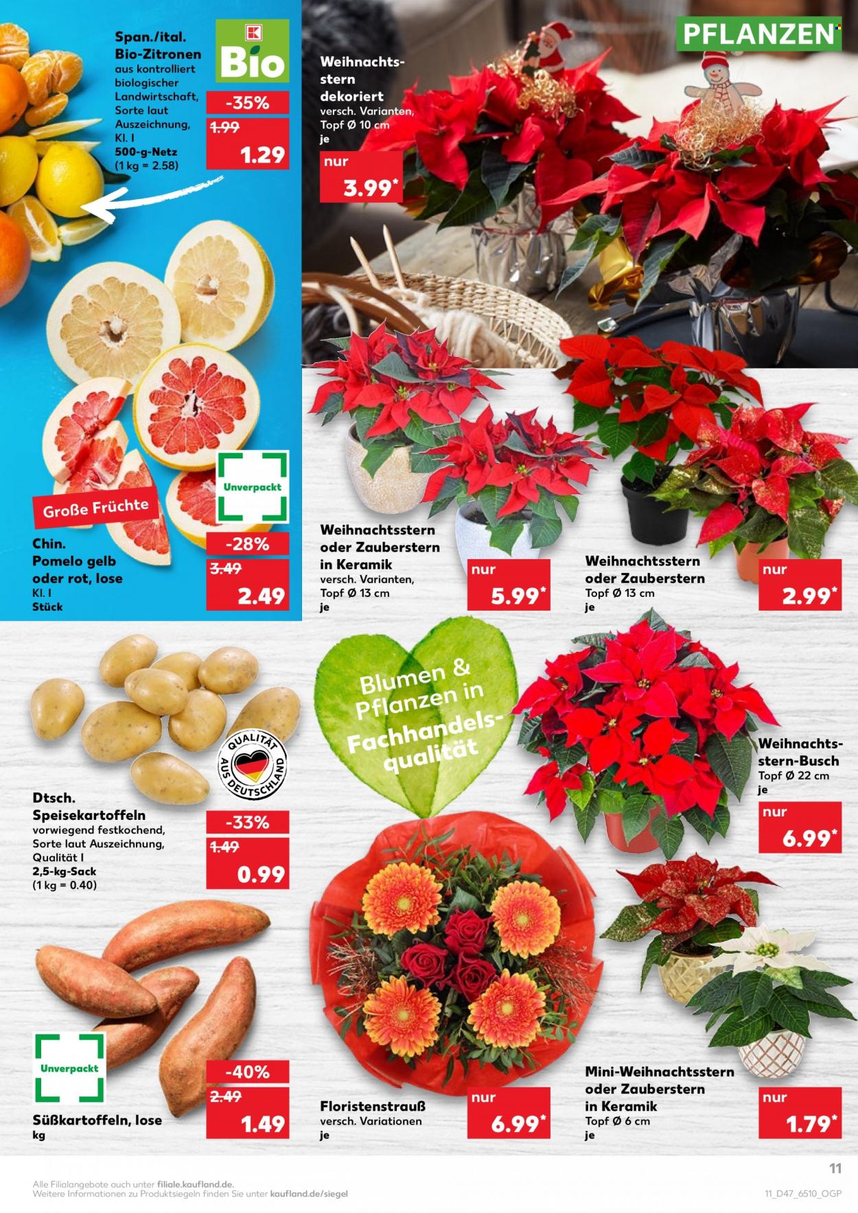 Kaufland Prospekte  - 25.11.2021 - 1.12.2021. Seite 11