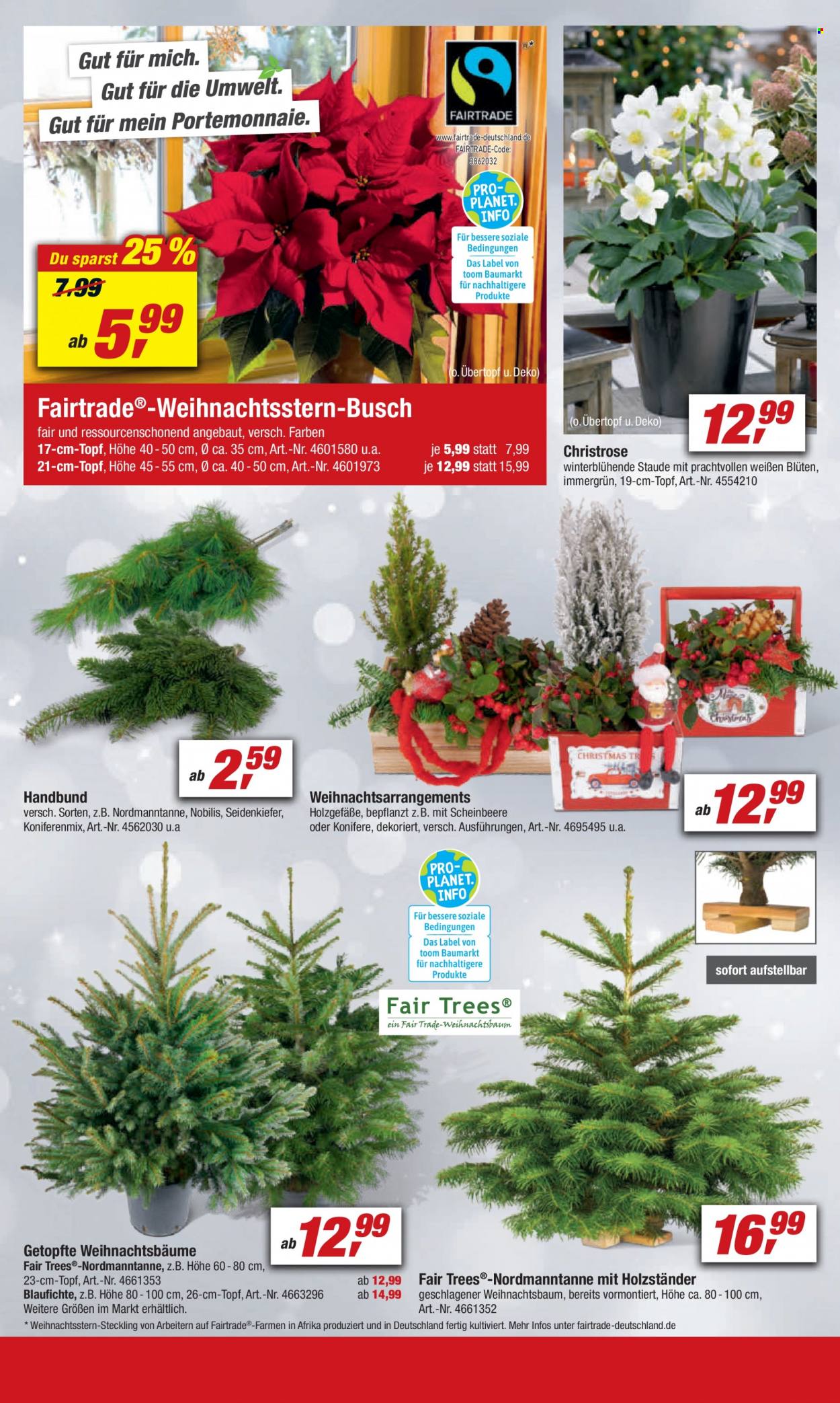 toom Baumarkt Prospekte  - 27.11.2021 - 3.12.2021. Seite 6