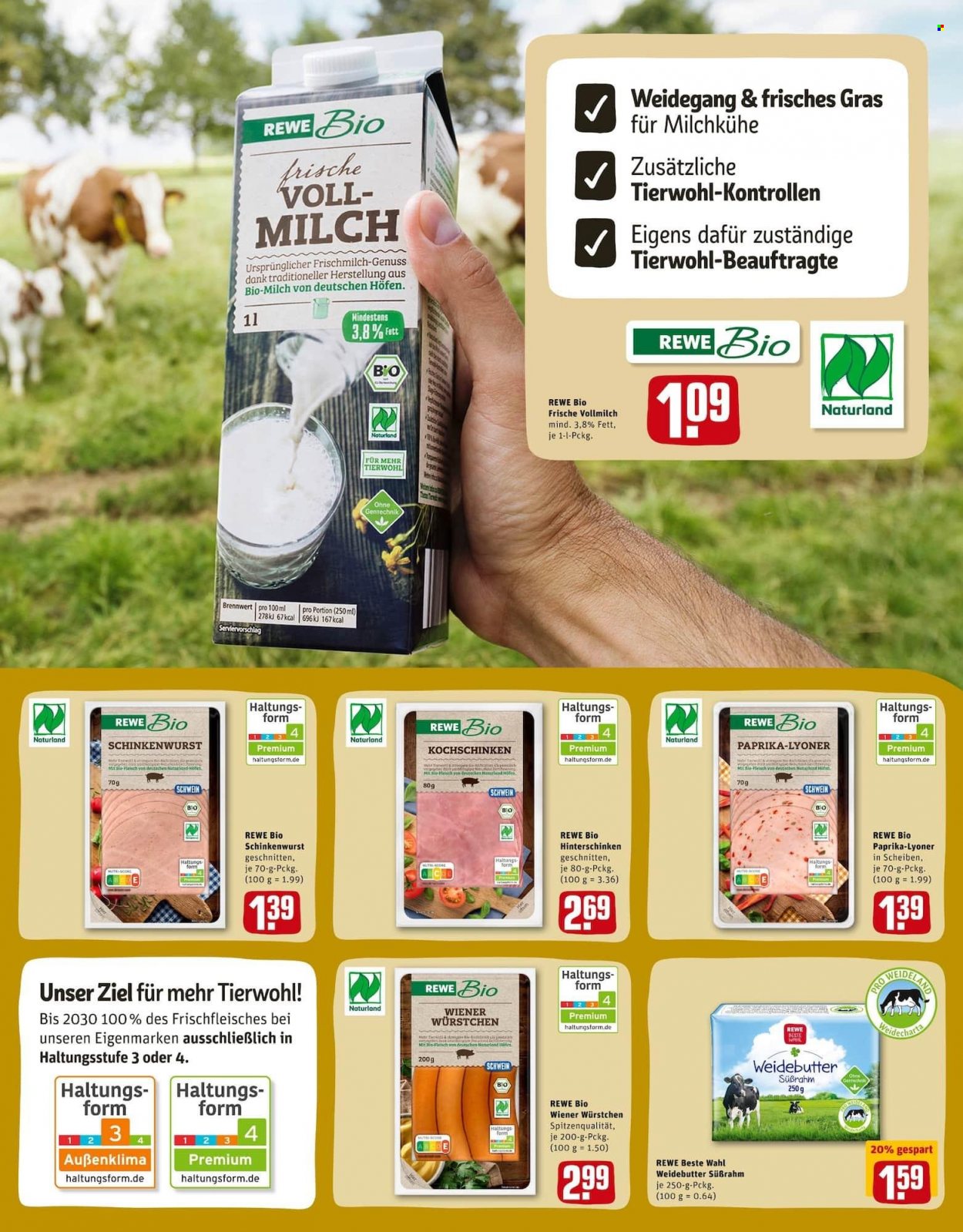 REWE Prospekte  - 22.11.2021 - 27.11.2021. Seite 3