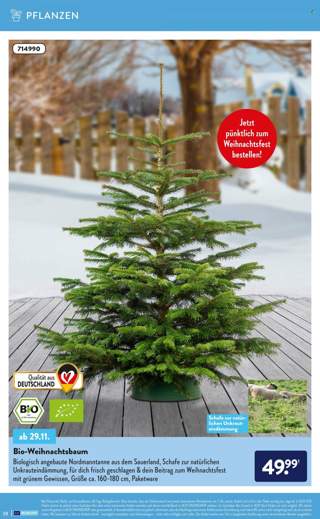 thumbnail - Prospekte ALDI SÜD - Produkte in Aktion - Weihnachtsbaum. Seite 38.