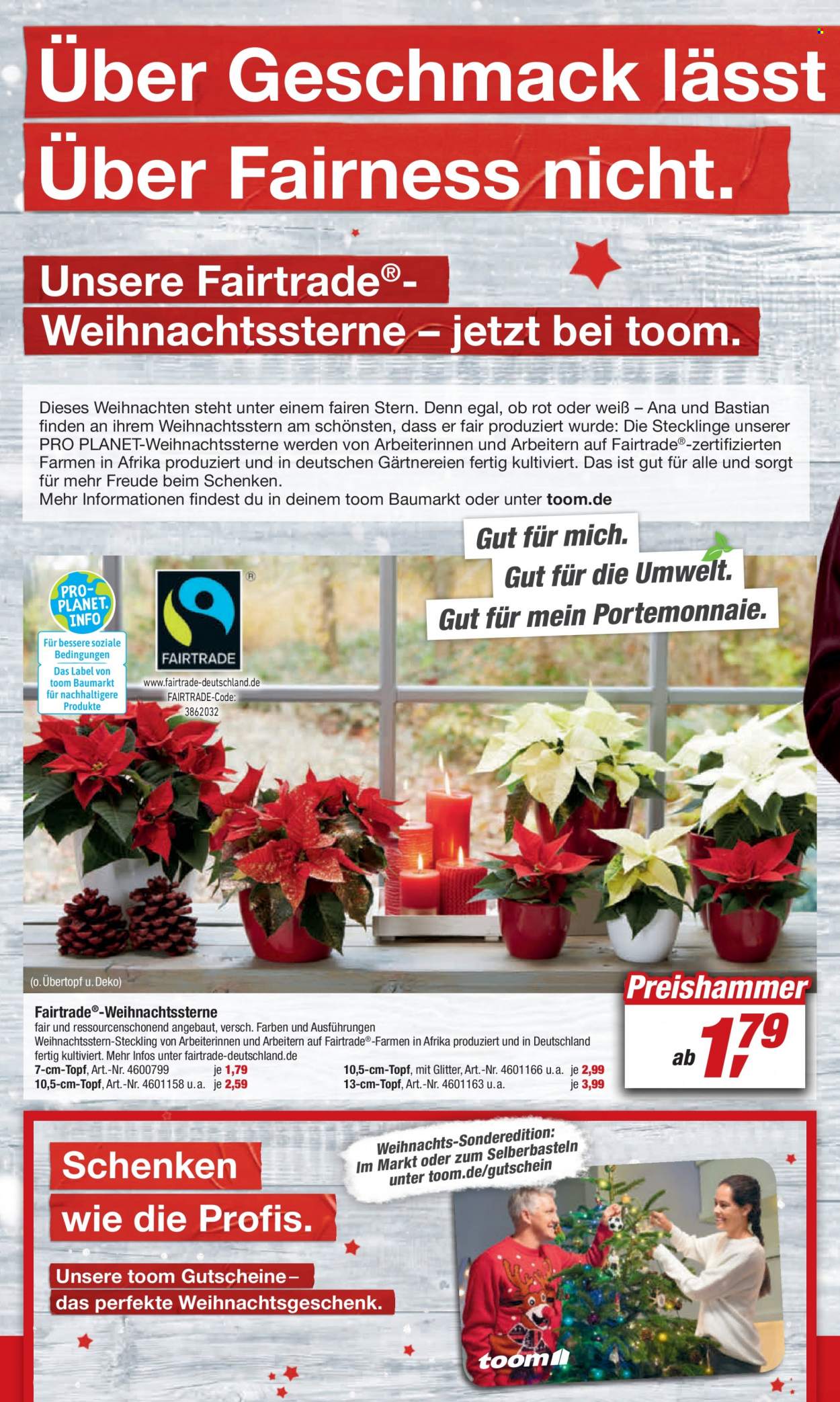 toom Baumarkt Prospekte  - 4.12.2021 - 10.12.2021. Seite 2