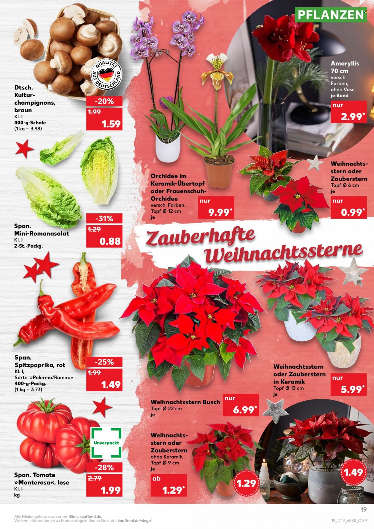 Kaufland Prospekte  - 9.12.2021 - 15.12.2021. Seite 19