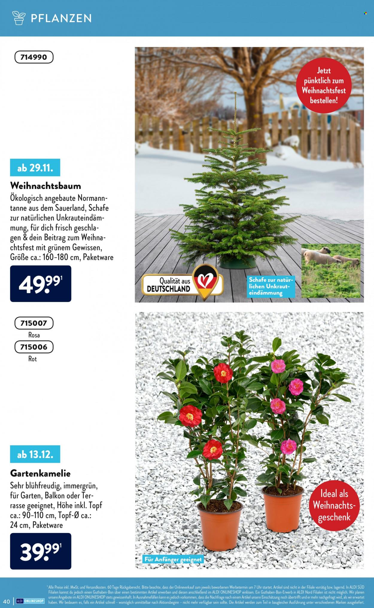 ALDI SÜD Prospekte . Seite 40
