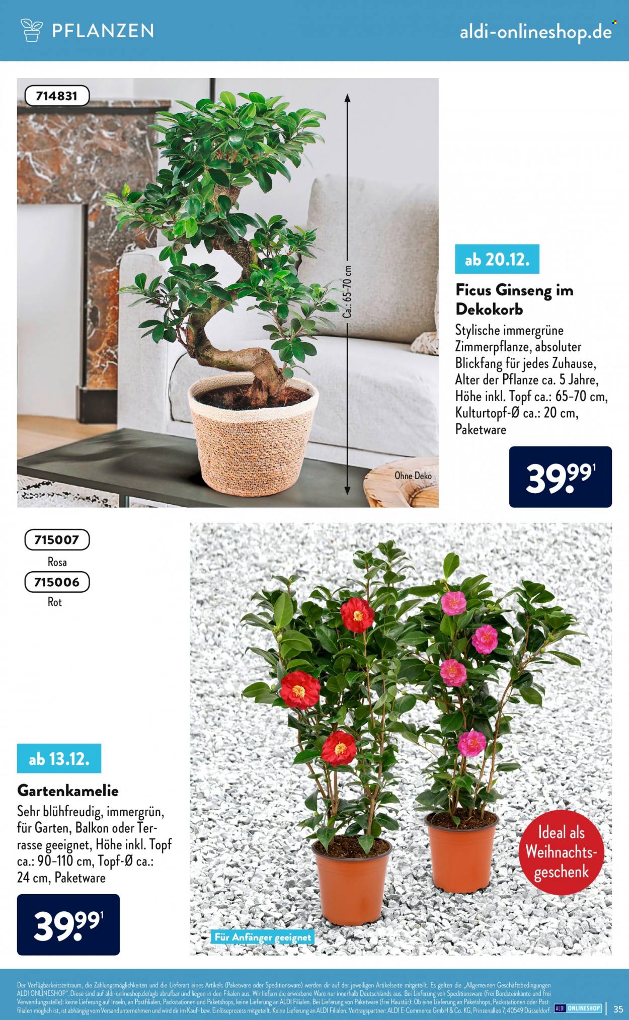ALDI SÜD Prospekte . Seite 35