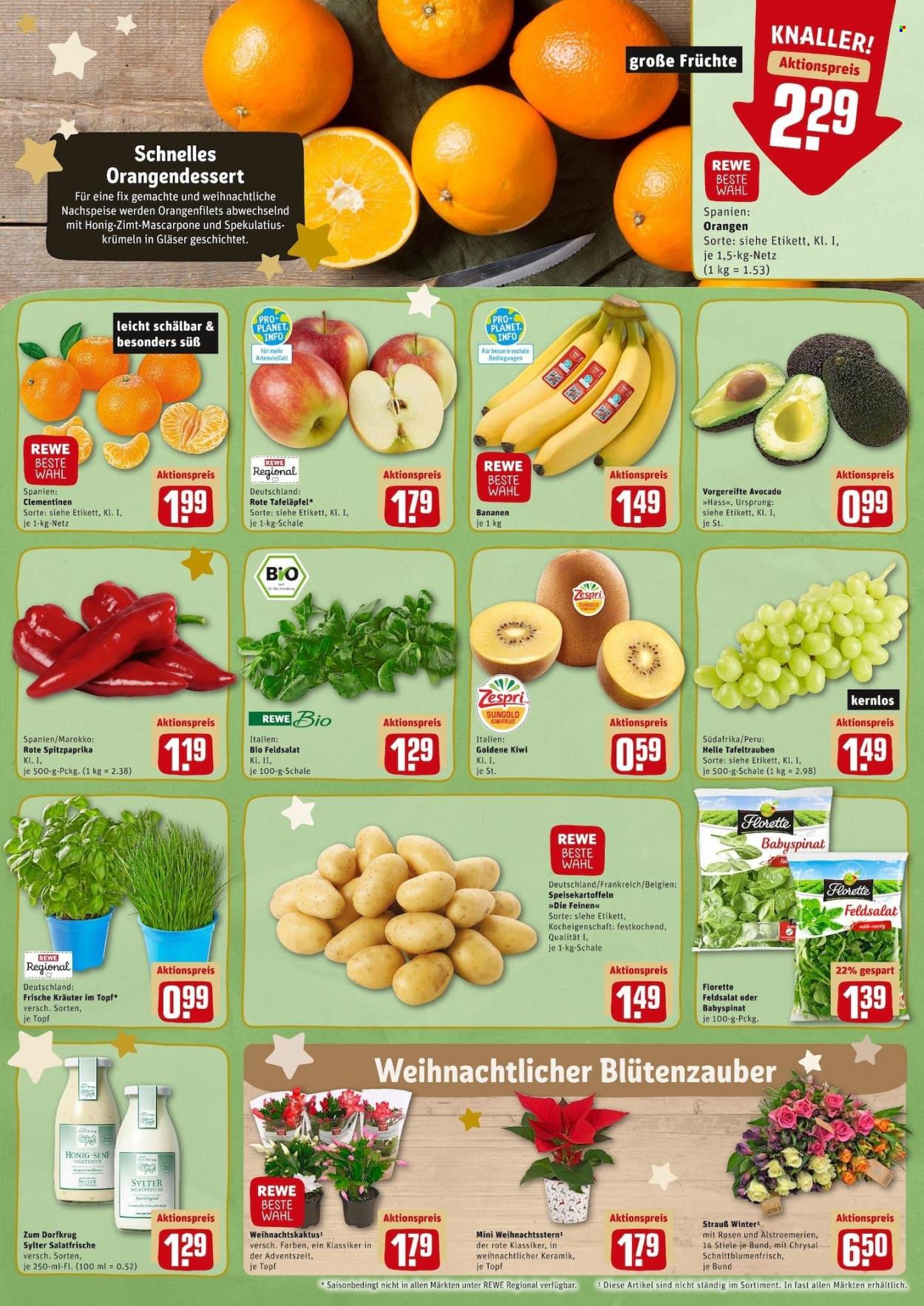 REWE Prospekte  - 20.12.2021 - 24.12.2021. Seite 8